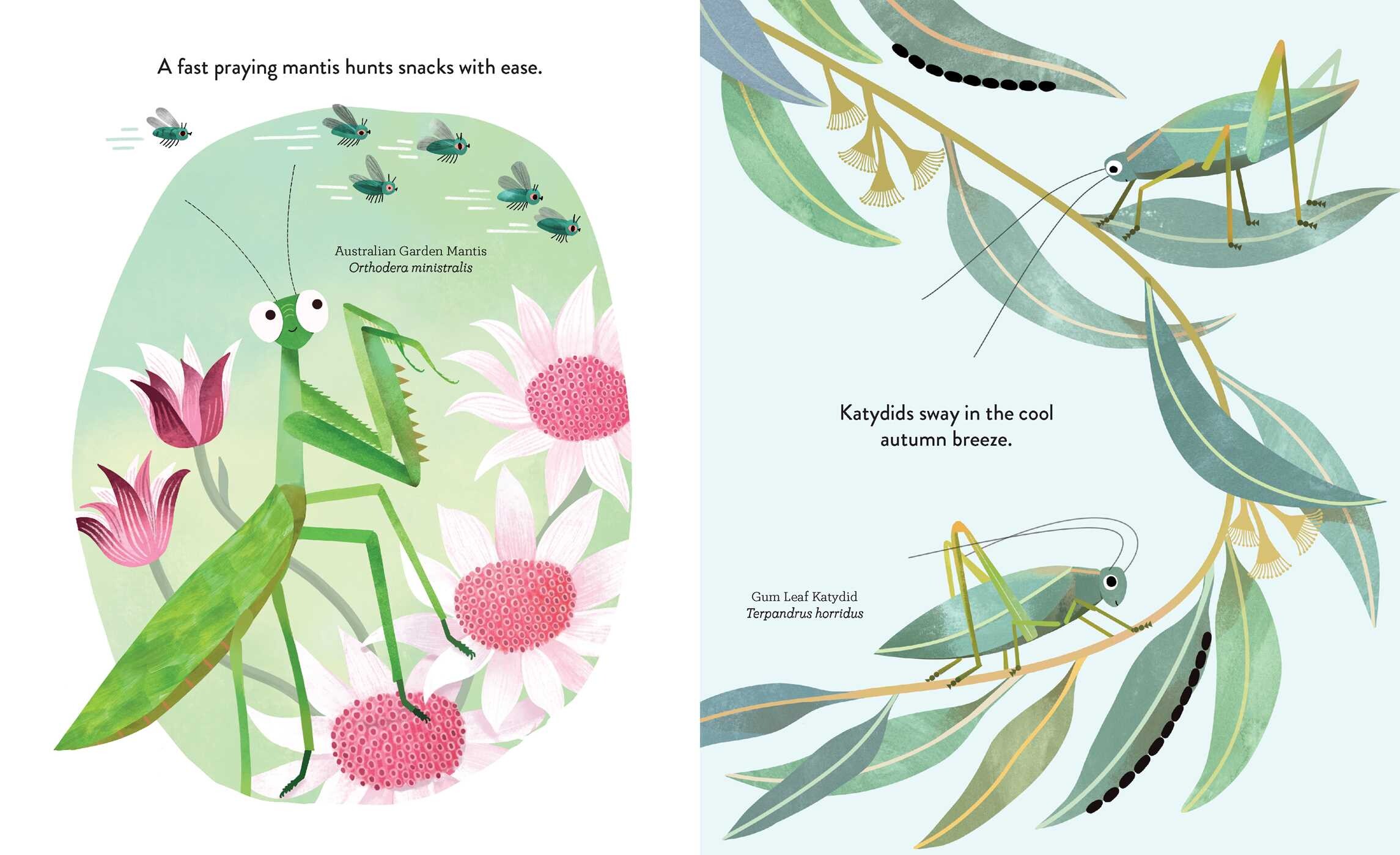 Ingenious Insects