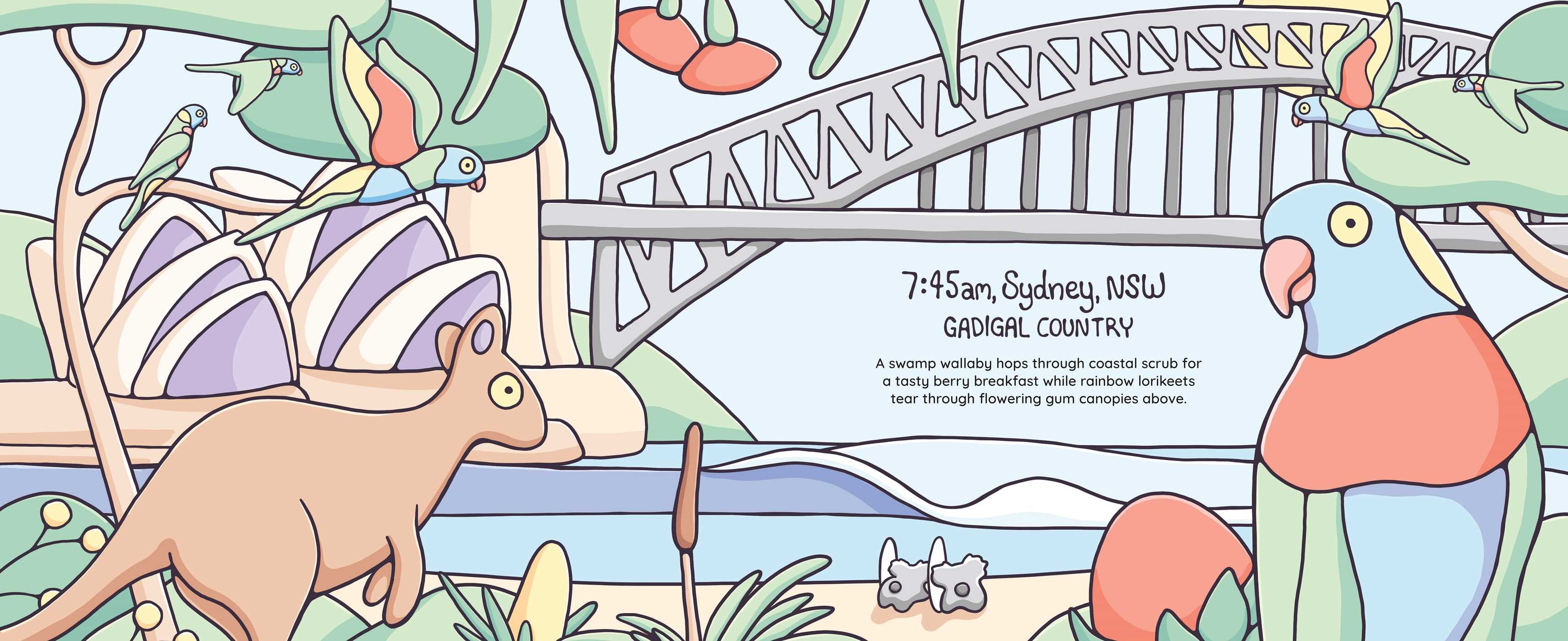 Brentos' Australia: Book and Toy Gift Set
