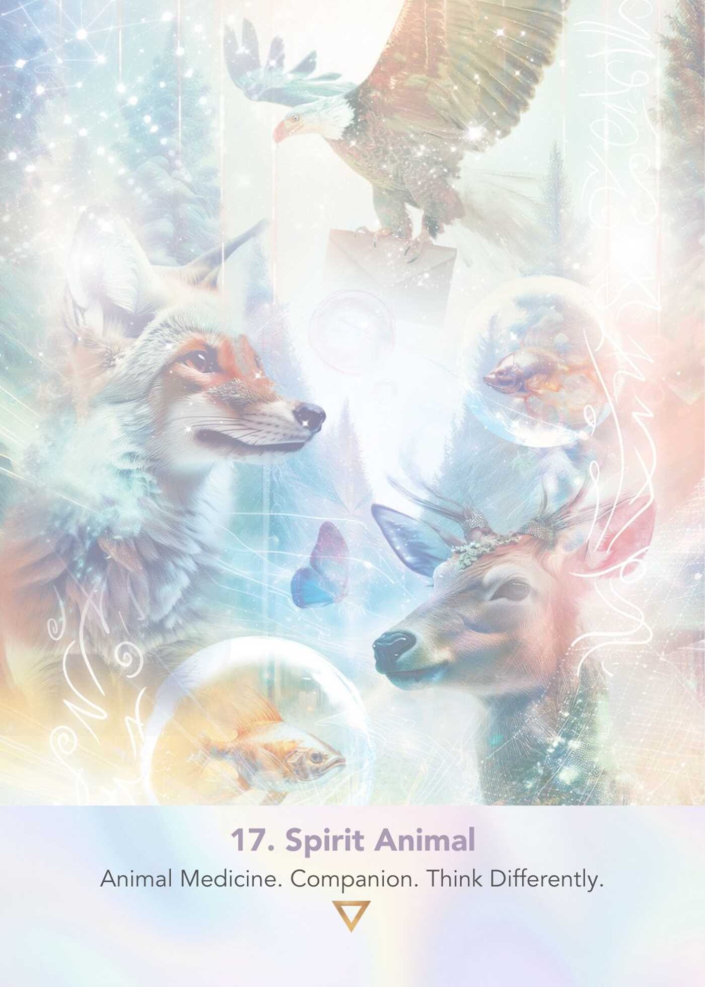 LightWeb Oracle Deck
