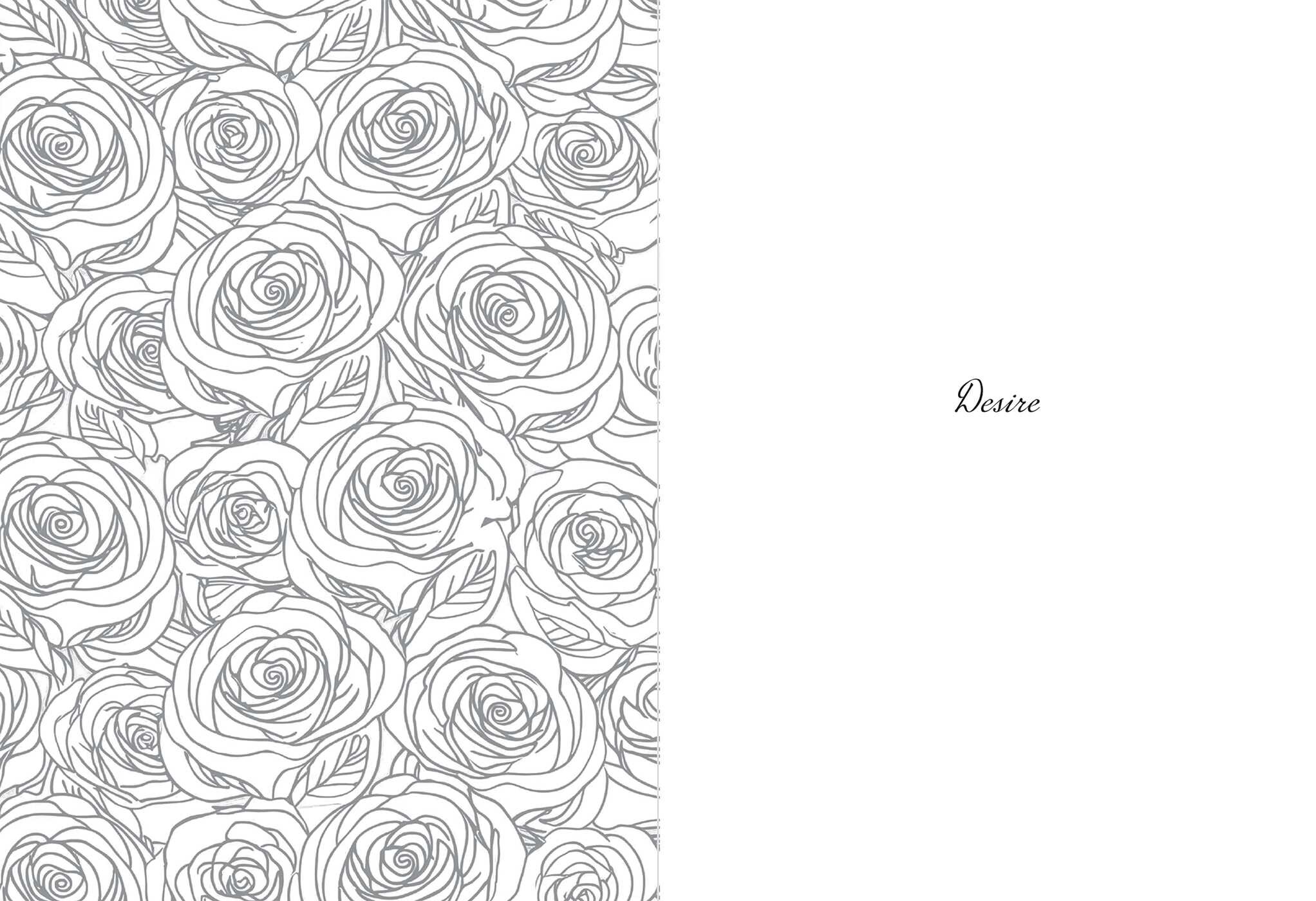 Dear Love