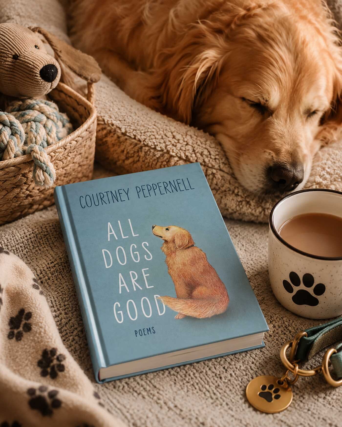 All Dogs are Good