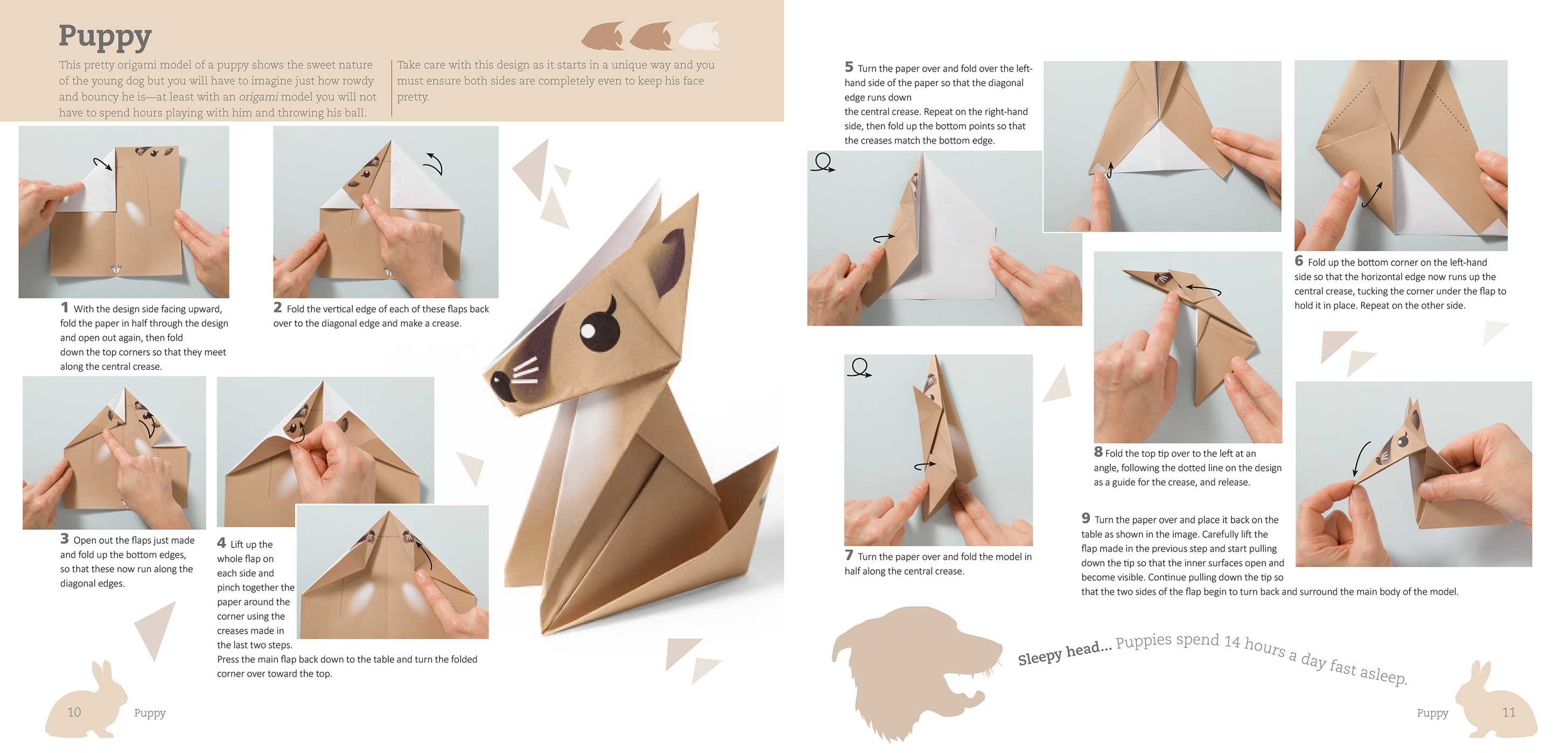 Fun Origami For Children Pets Book By Mari Ono Official Publisher 