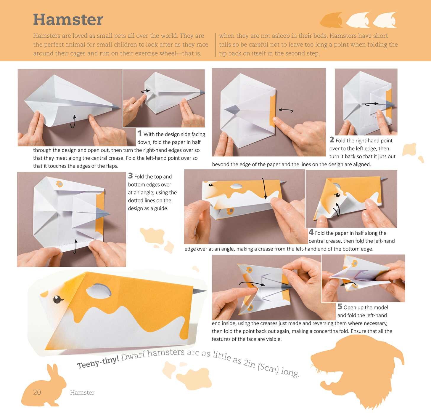 Fun Origami For Children Pets Book By Mari Ono Official Publisher 