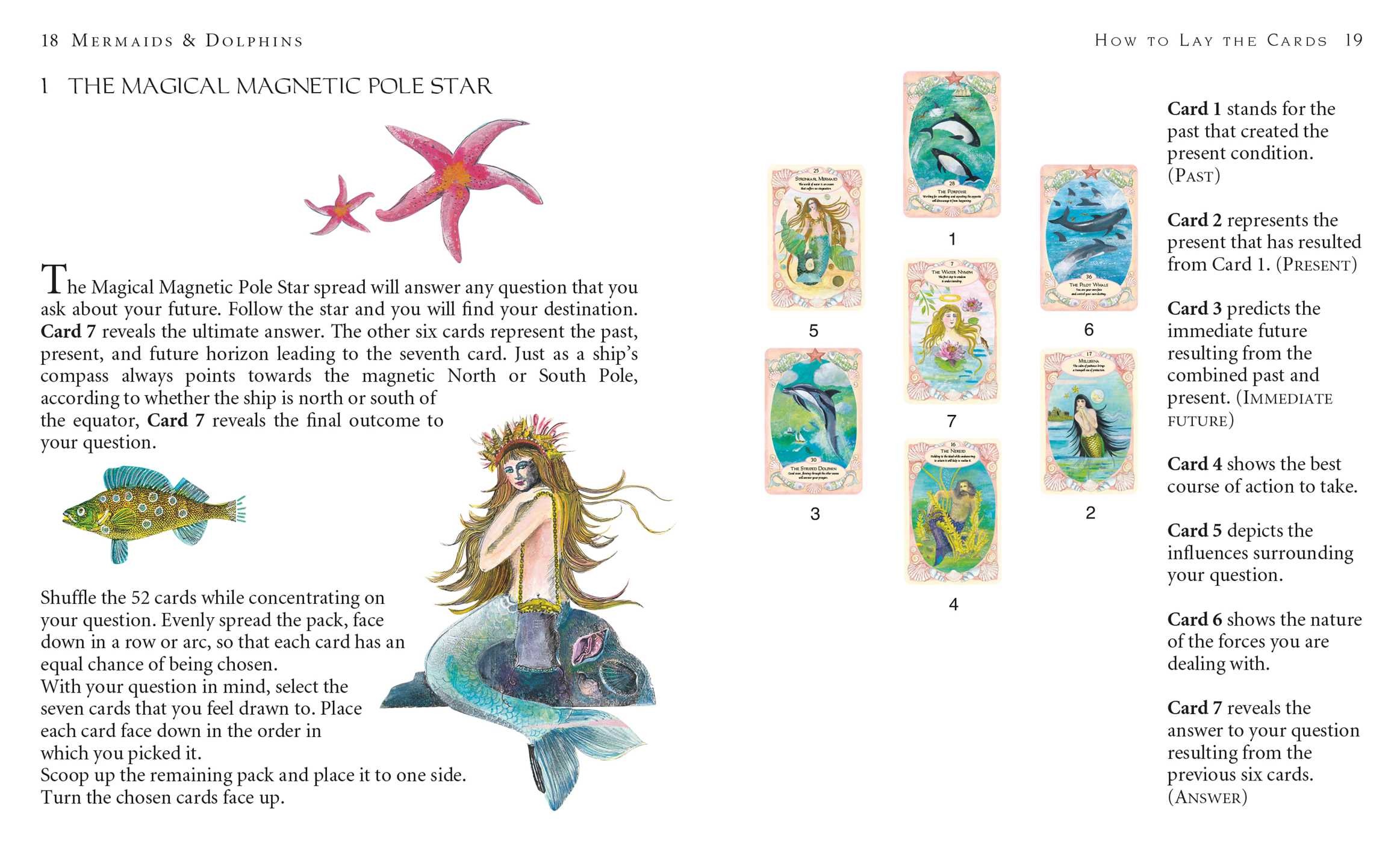 Mermaids and Dolphins