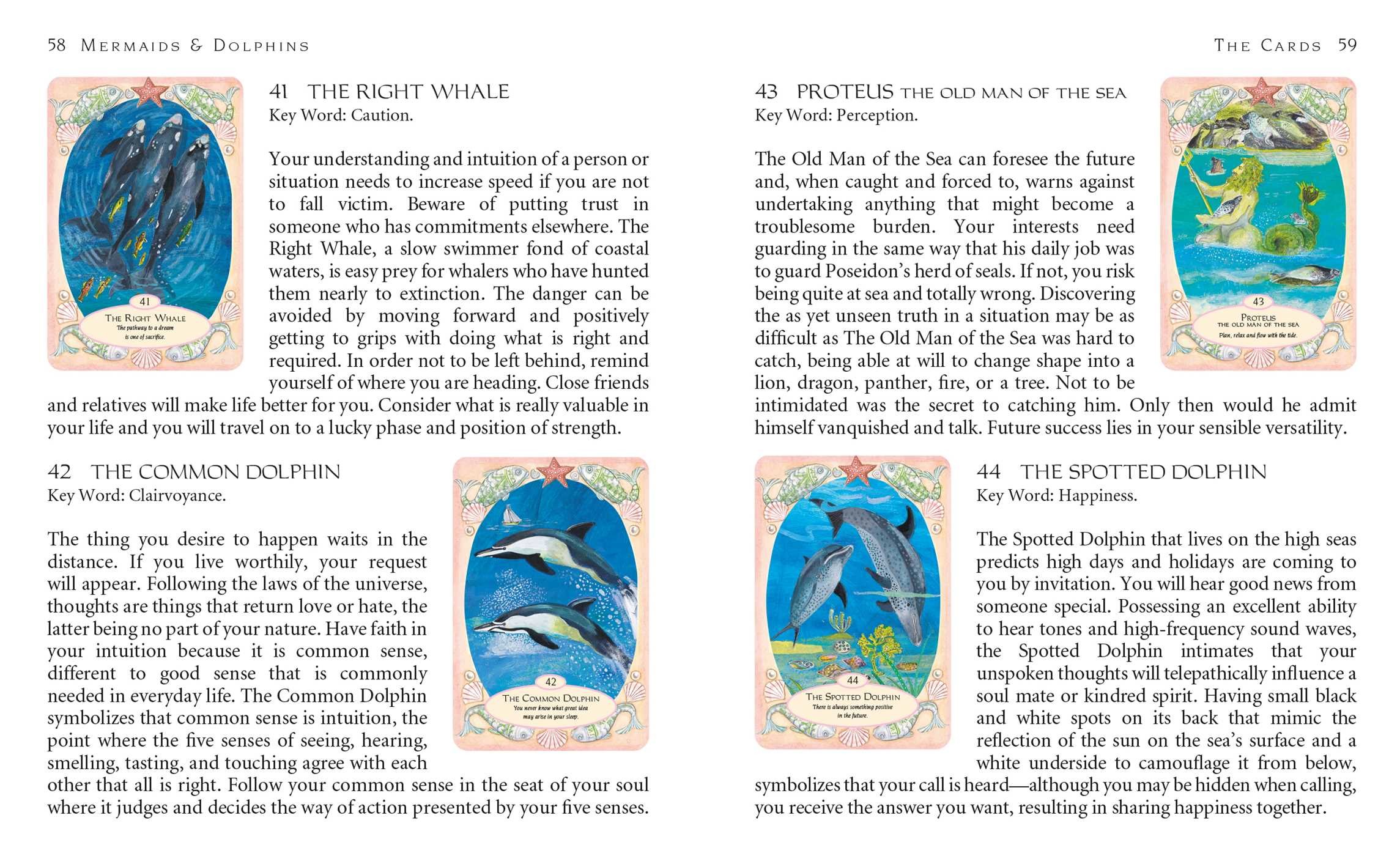 Mermaids and Dolphins
