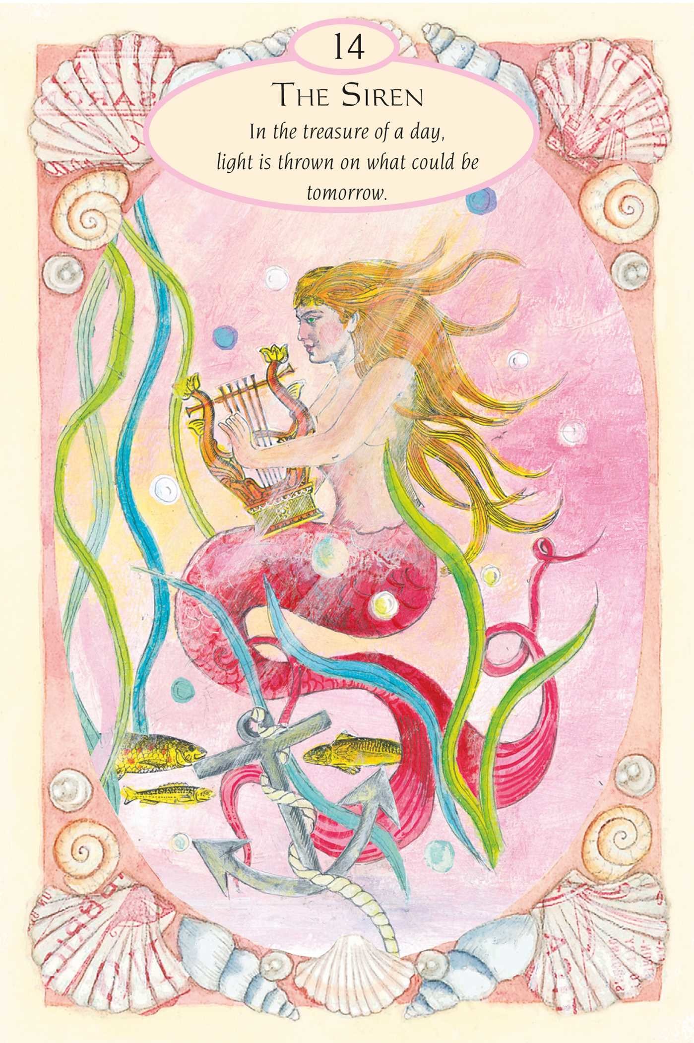 Mermaids and Dolphins