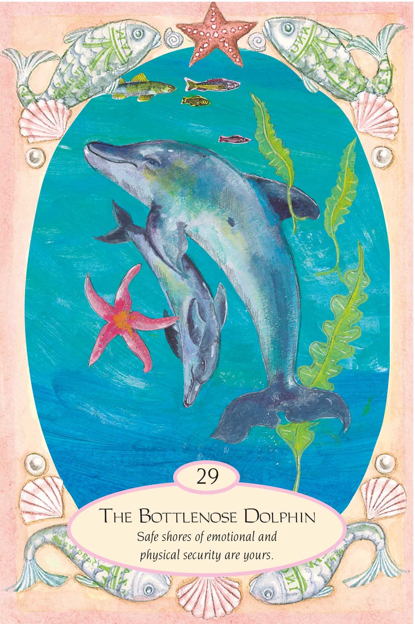 Mermaids and Dolphins
