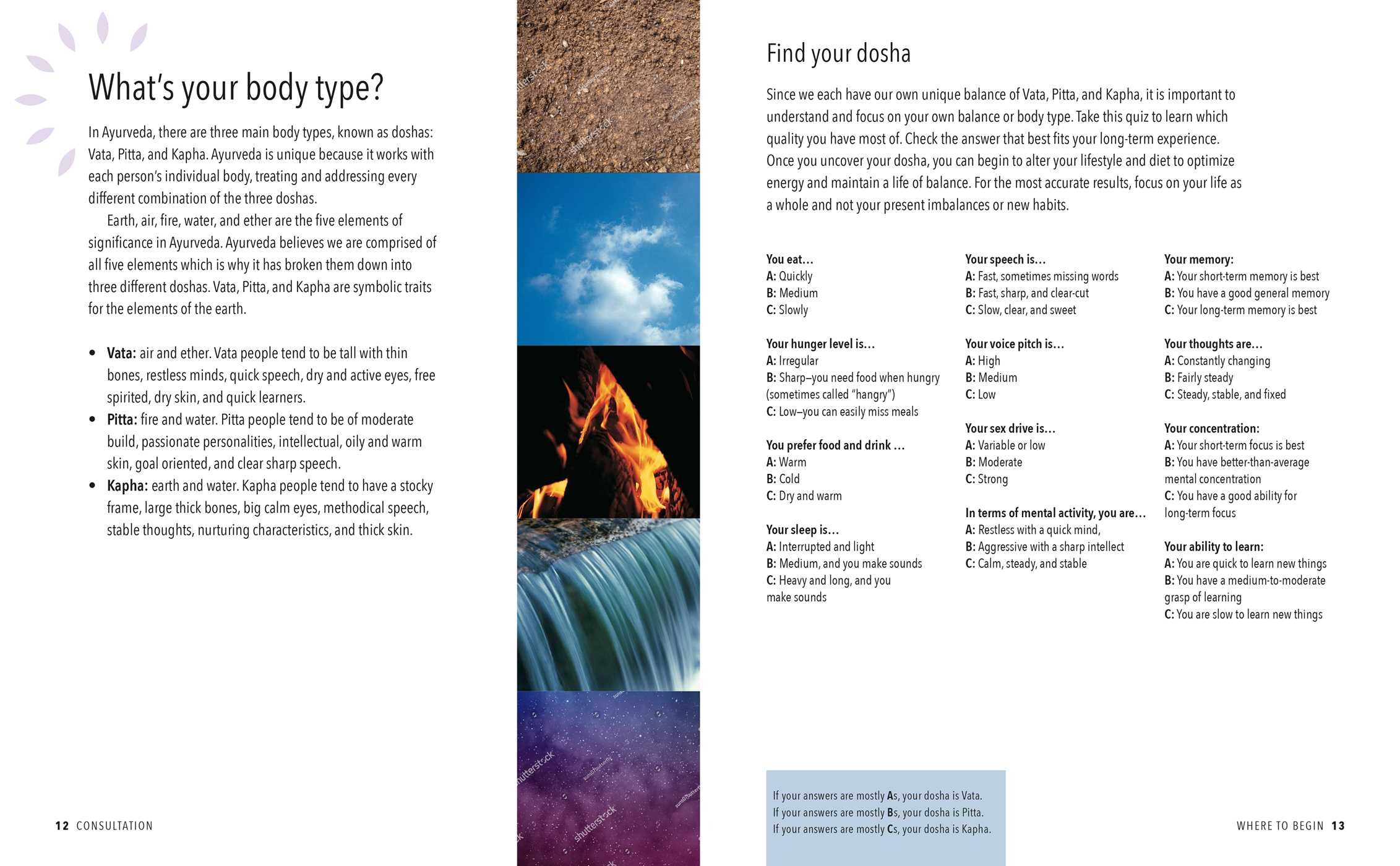 The Selfhealing Revolution Book by Noelle Renée Kovary Official