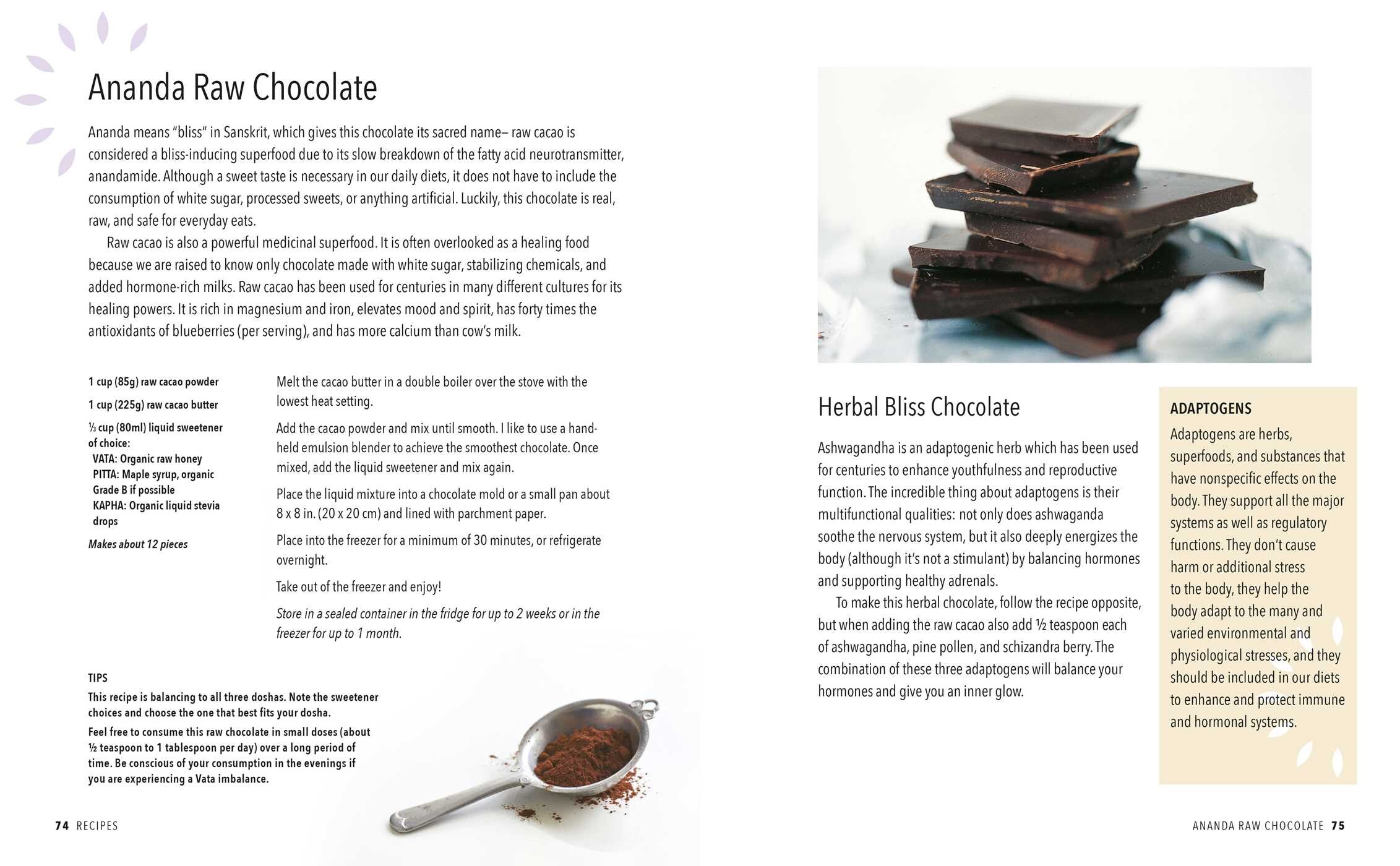 The Selfhealing Revolution Book by Noelle Renée Kovary Official