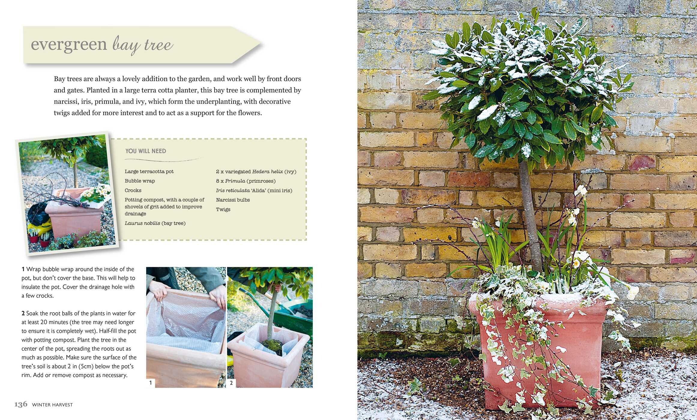 The Winter Garden Book by Emma Hardy Official Publisher Page