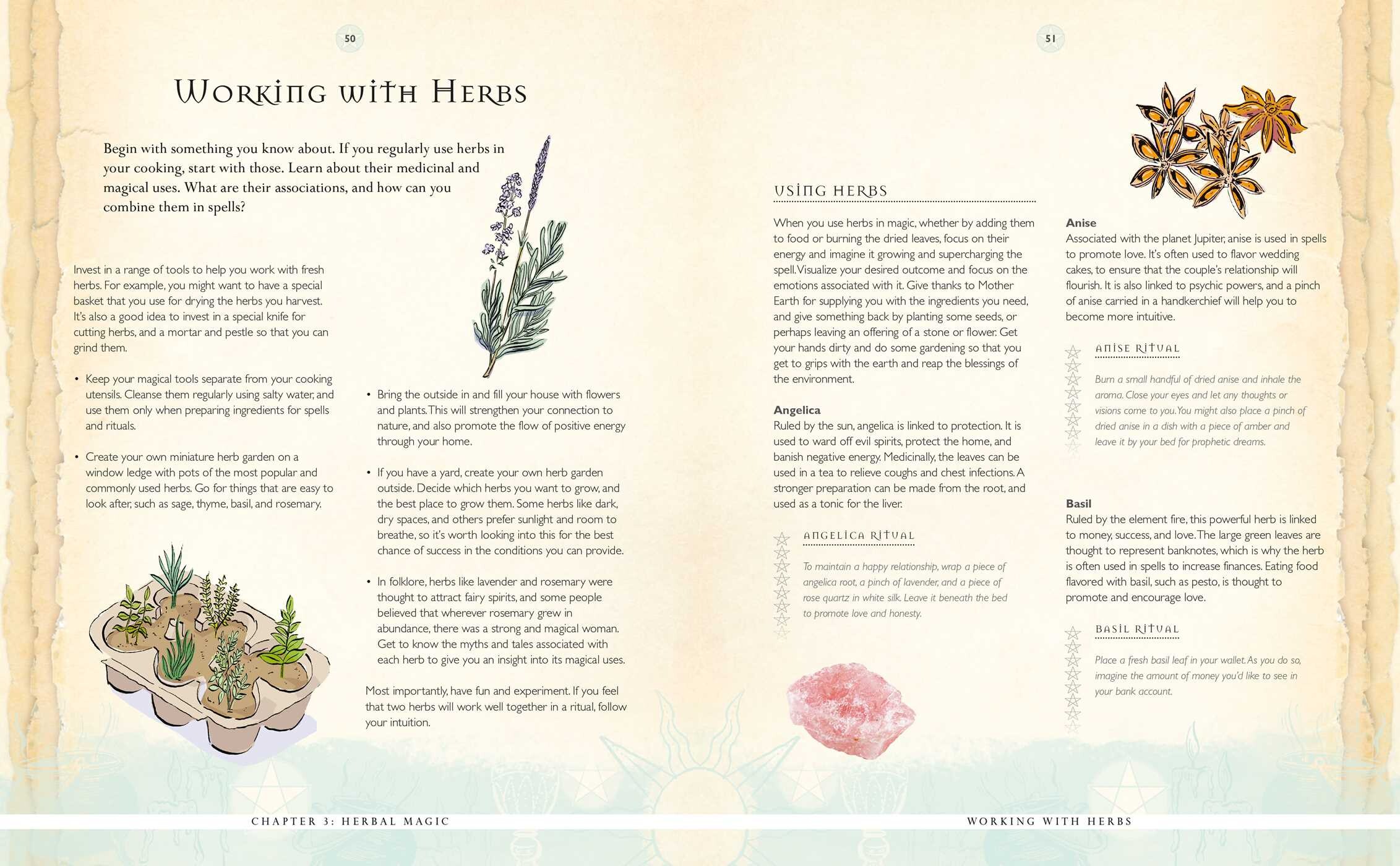 Beginner's Guide to Wicca