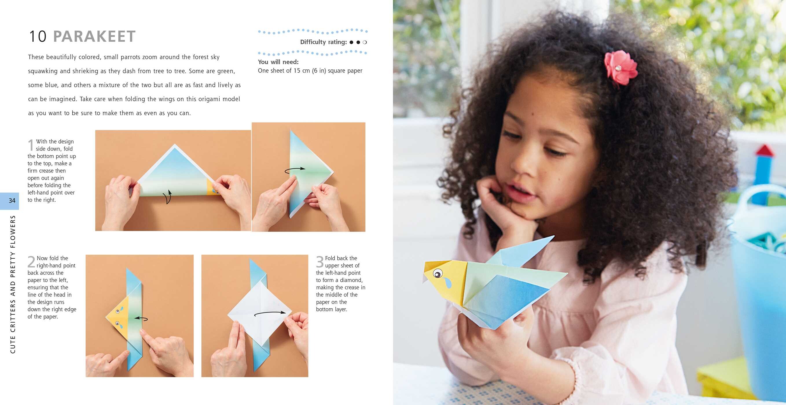 Origami for Kids