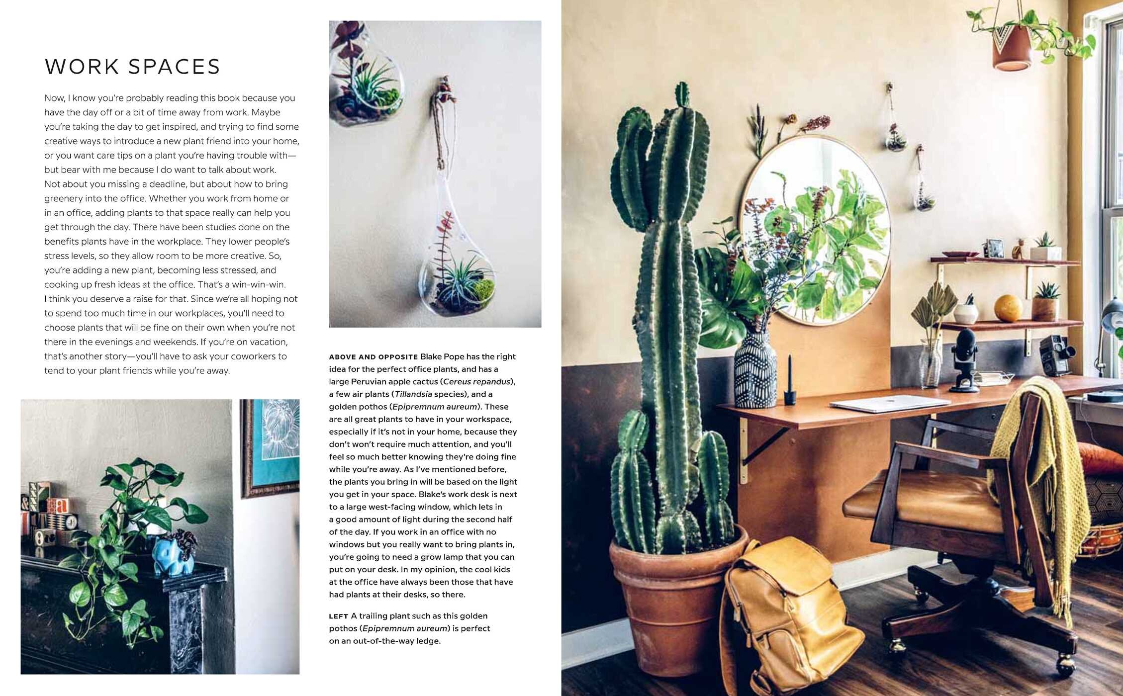 Wild Interiors