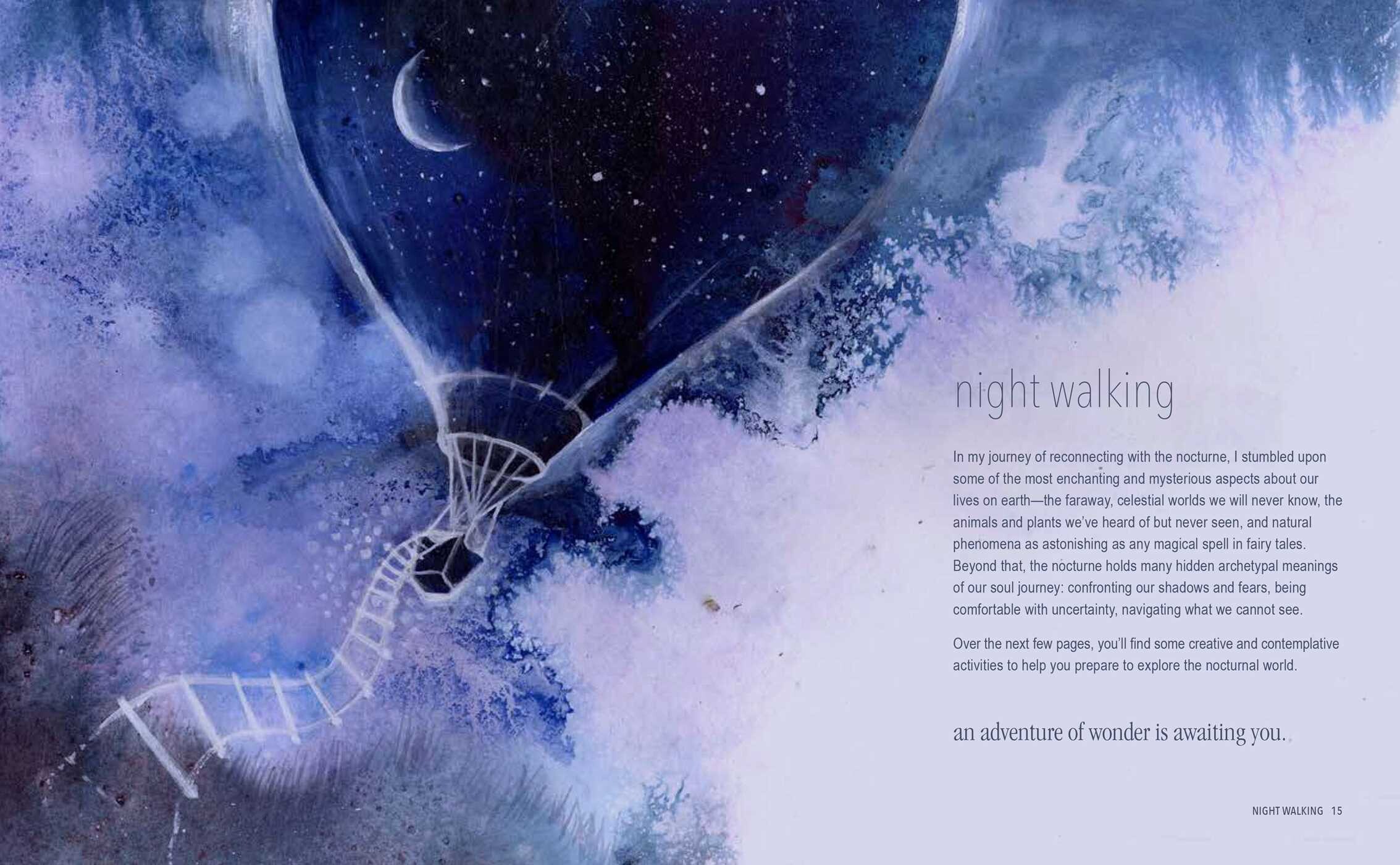 Magical Night Journey