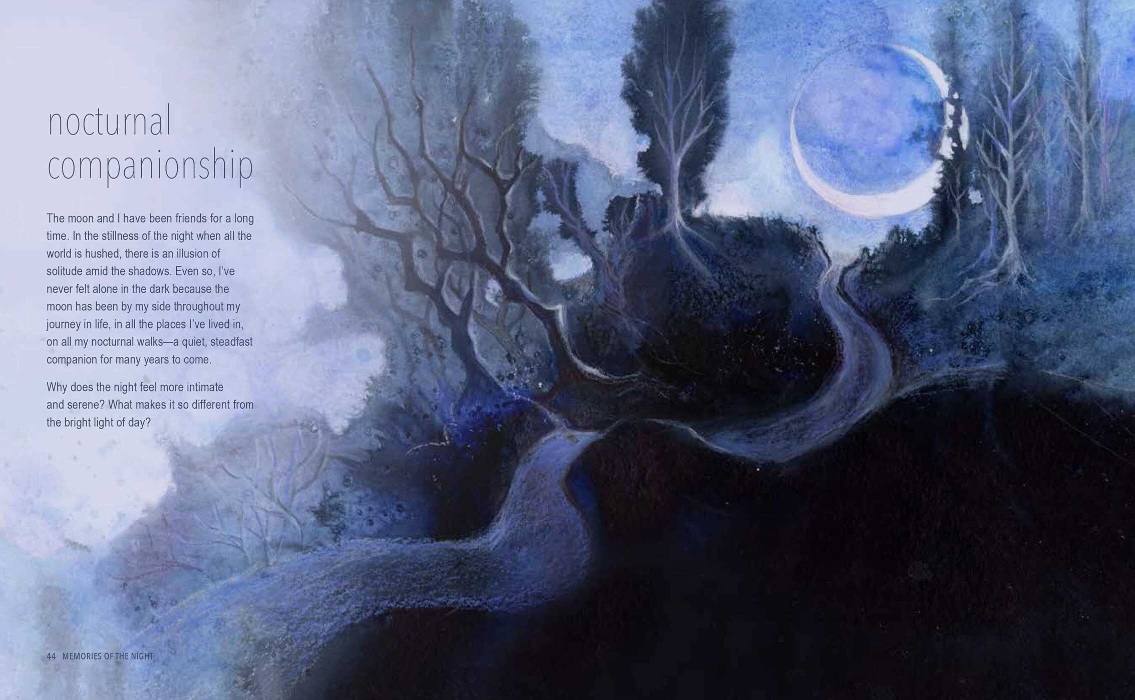 Magical Night Journey