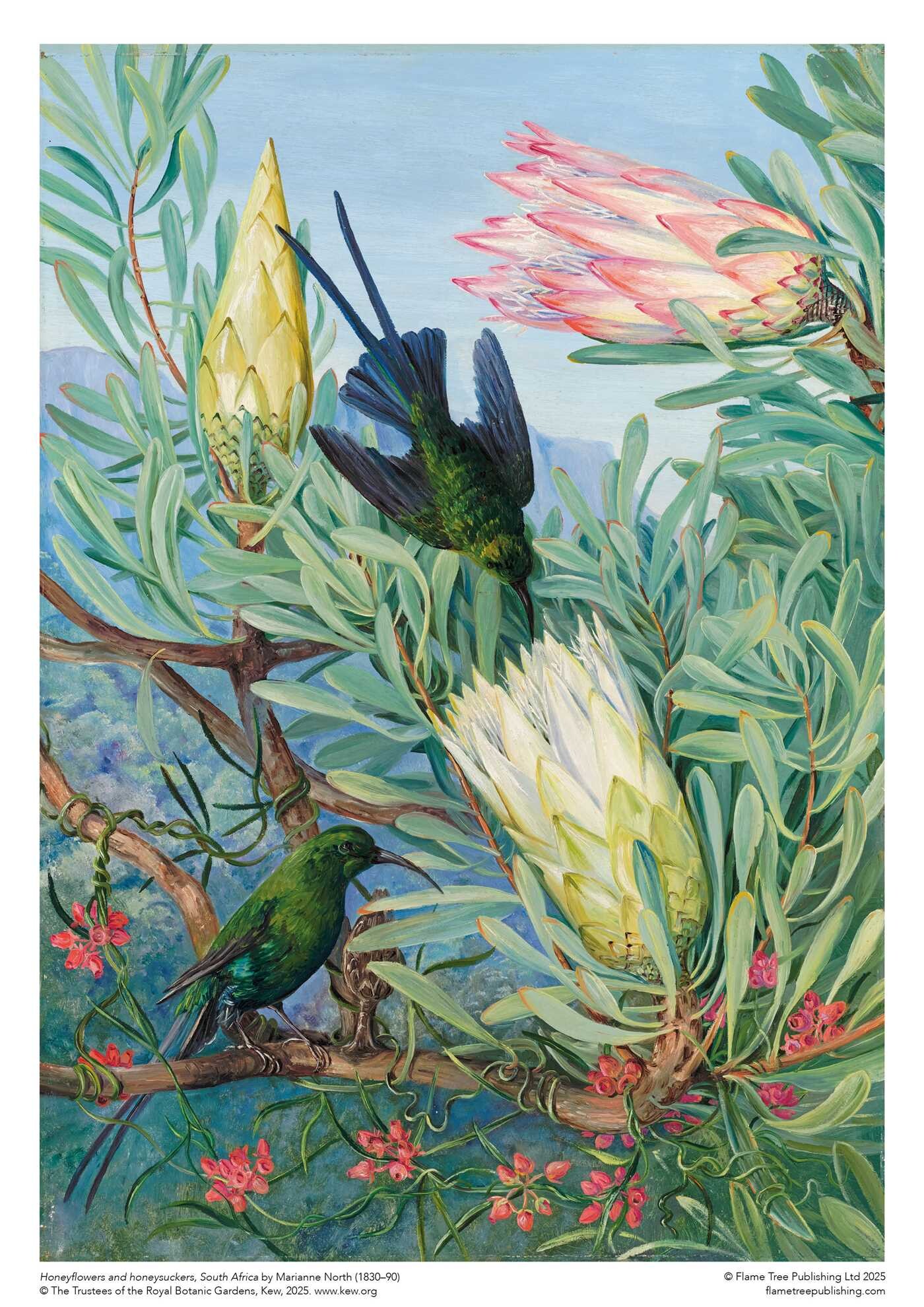 Adult Sustainable Jigsaw Puzzle Kew Gardens: Marianne North: Honeyflowers and Honeysuckers
