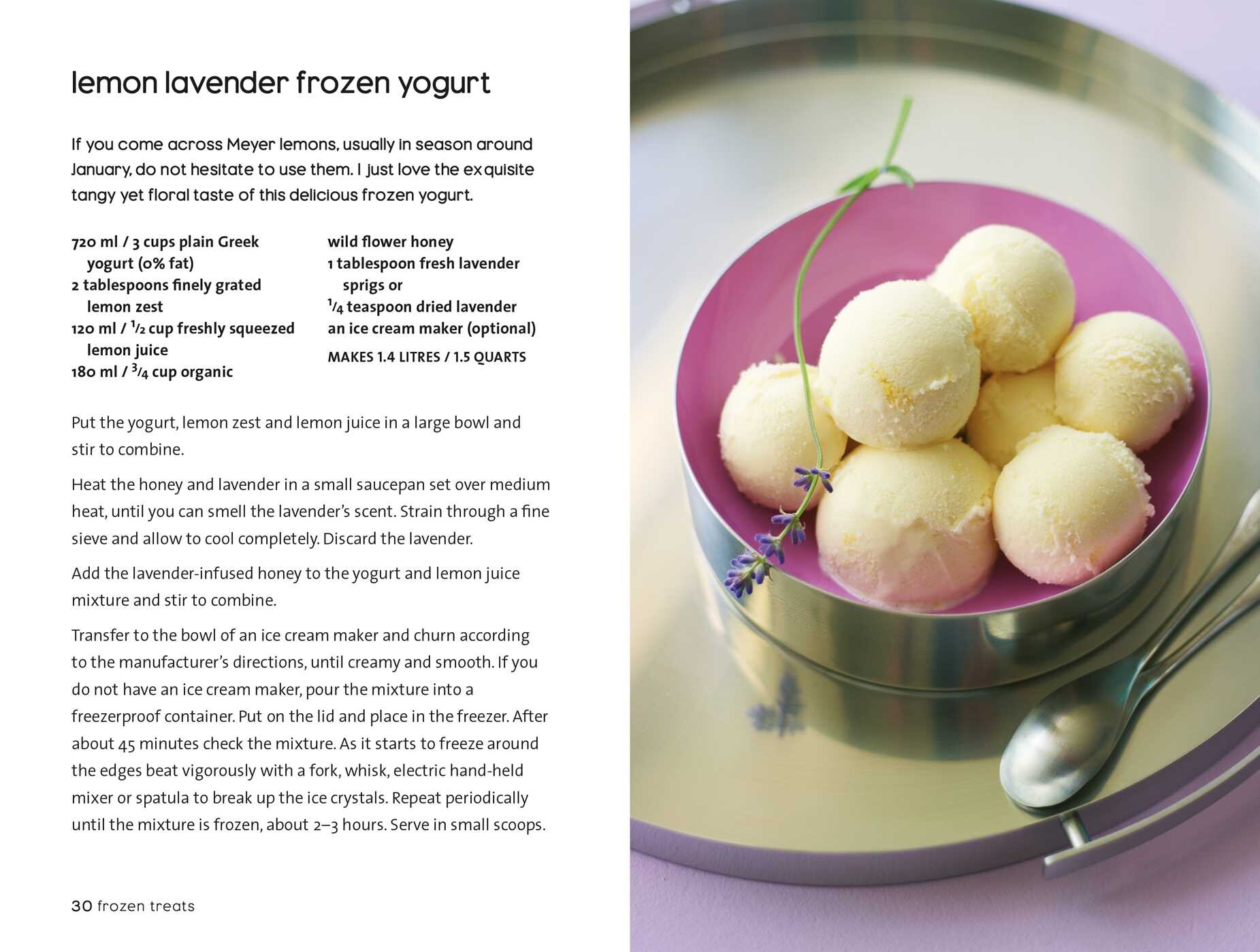 Frozen Yogurt