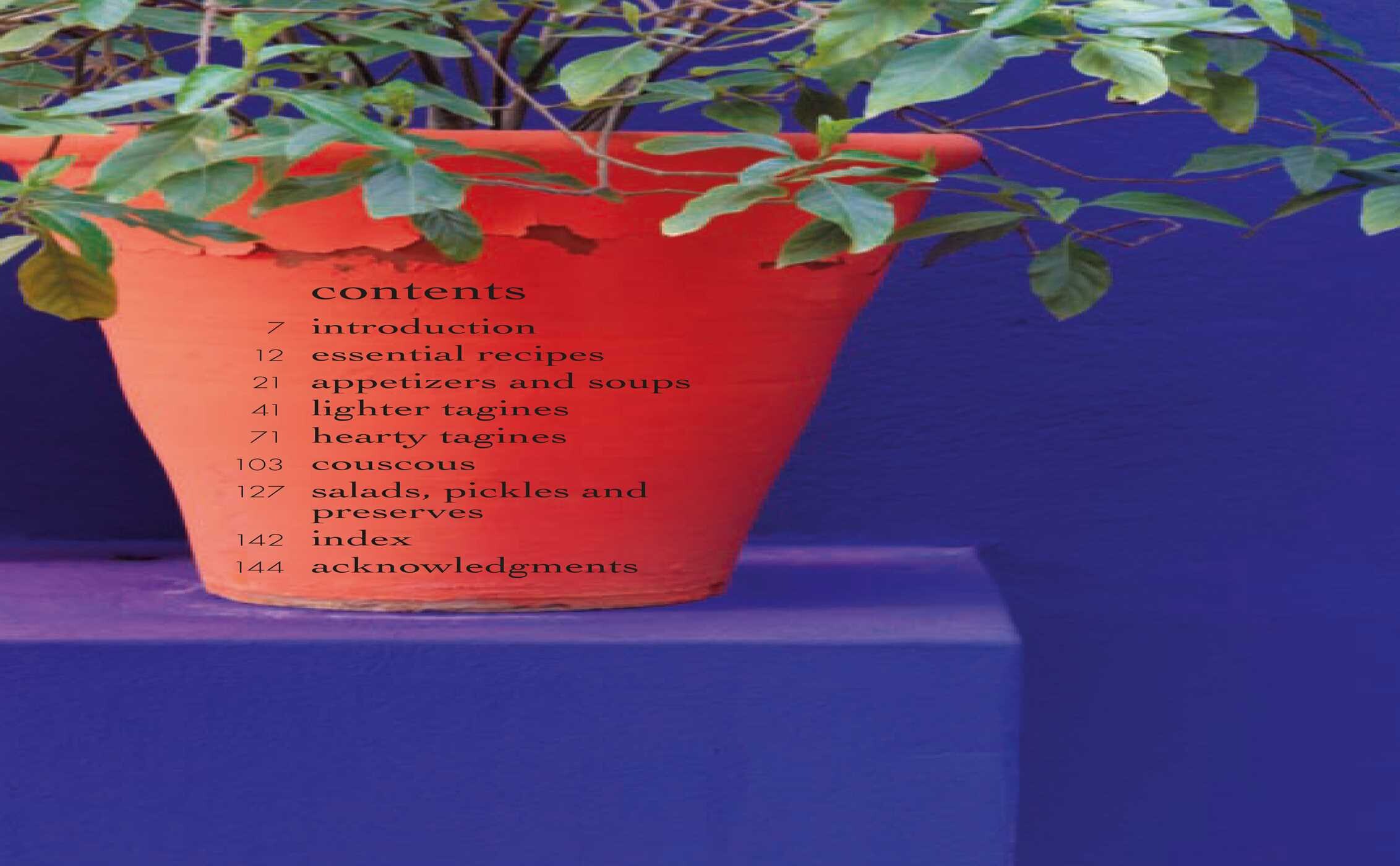 Vegetarian Tagines & Couscous Book by Ghillie Basan Official