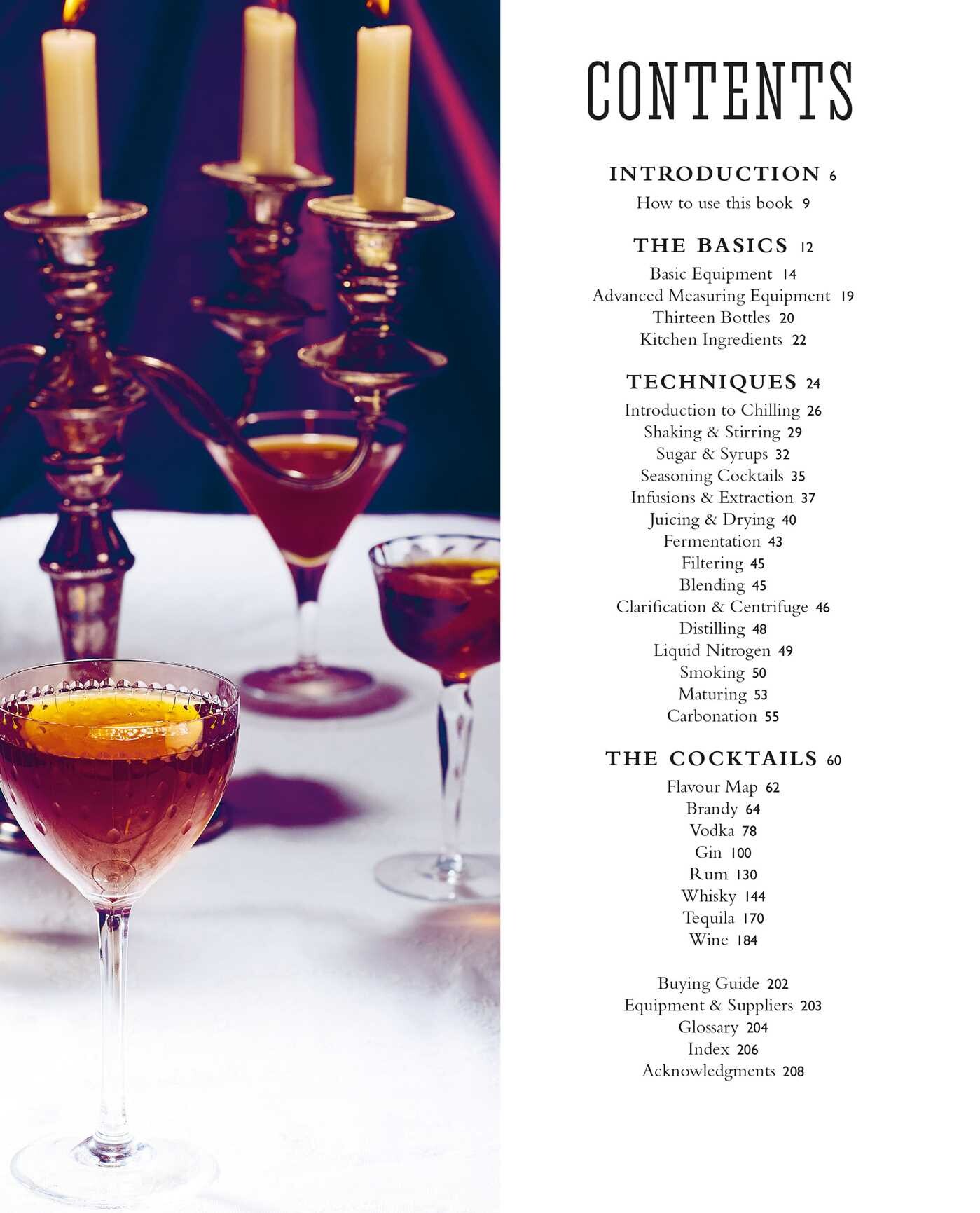 Curious Bartender: In Pursuit of Liquid Perfection