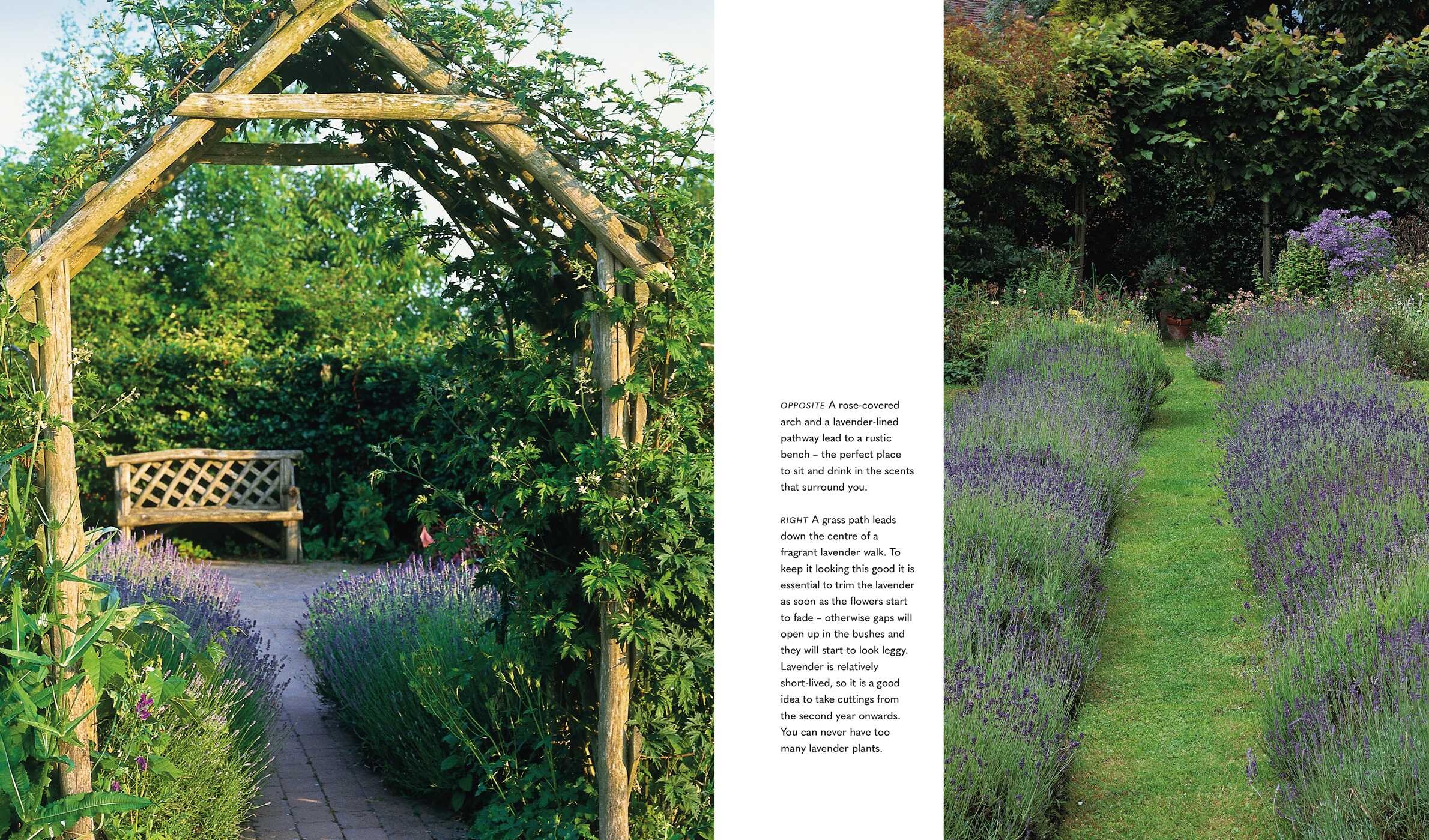 Mindful Garden
