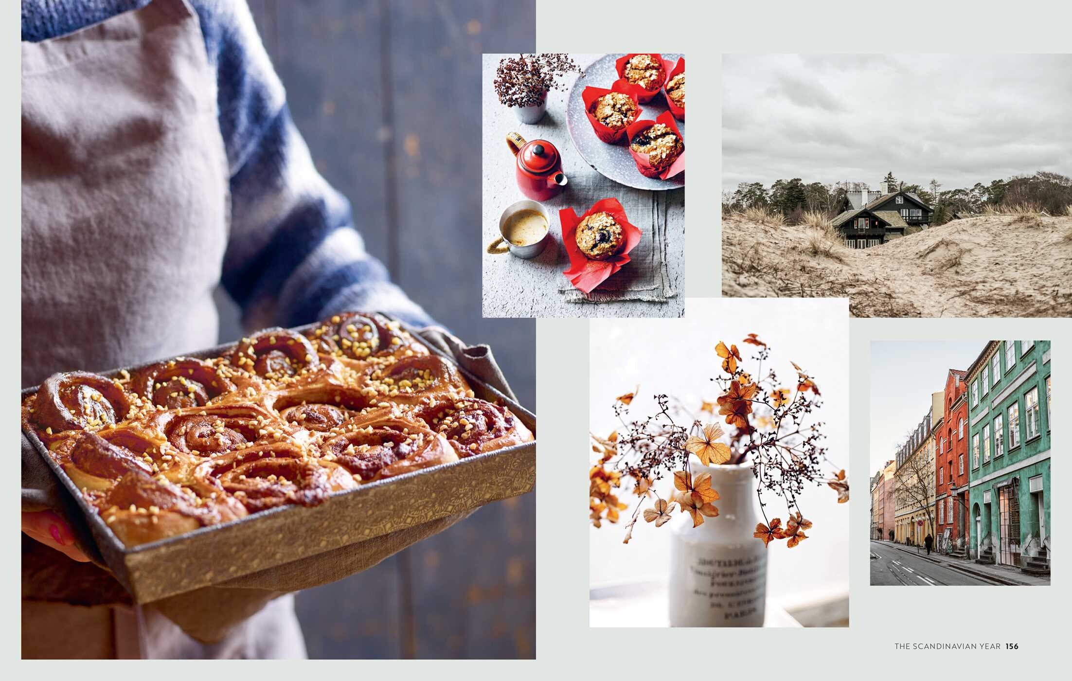 Scandinavian Year