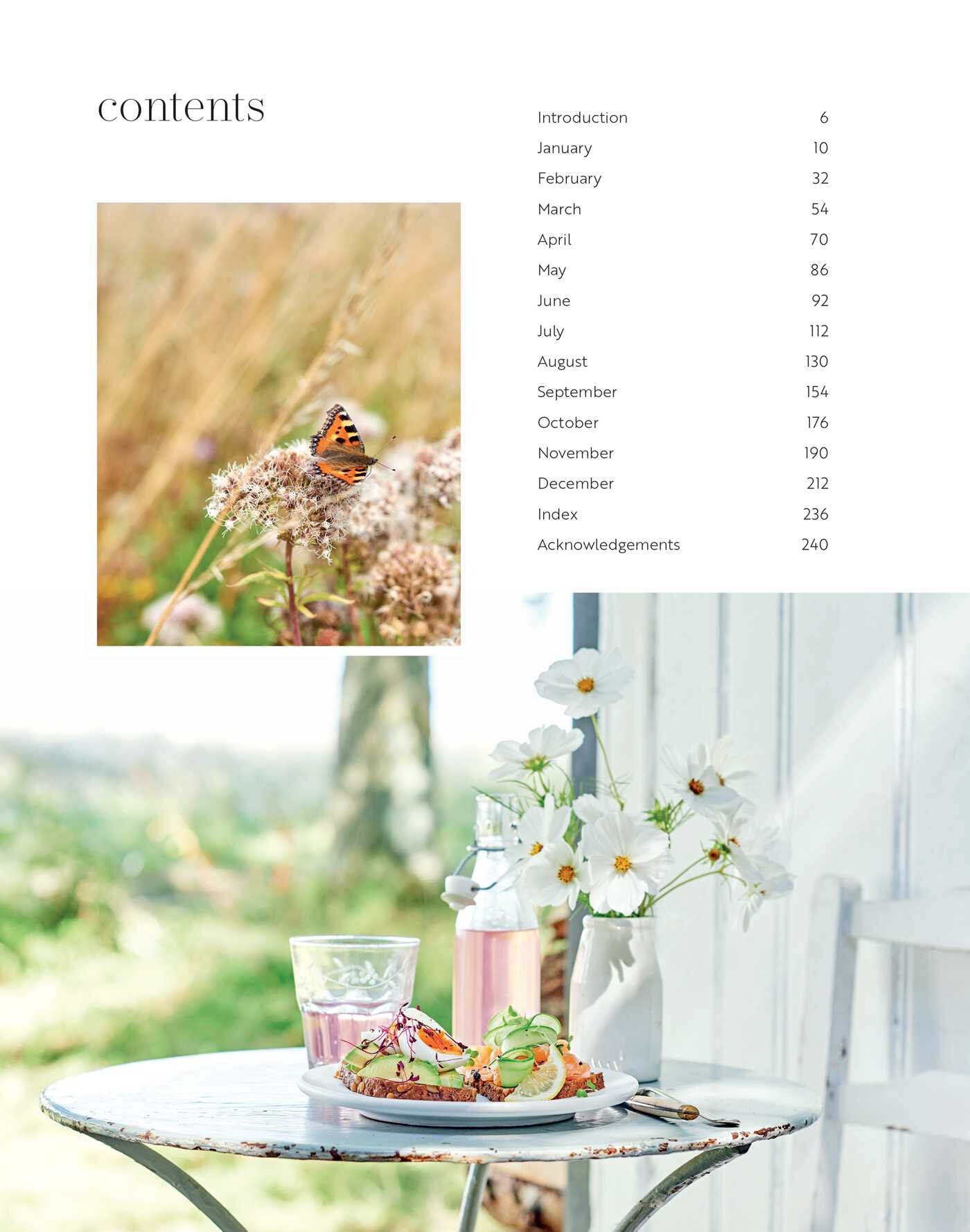 Scandinavian Year