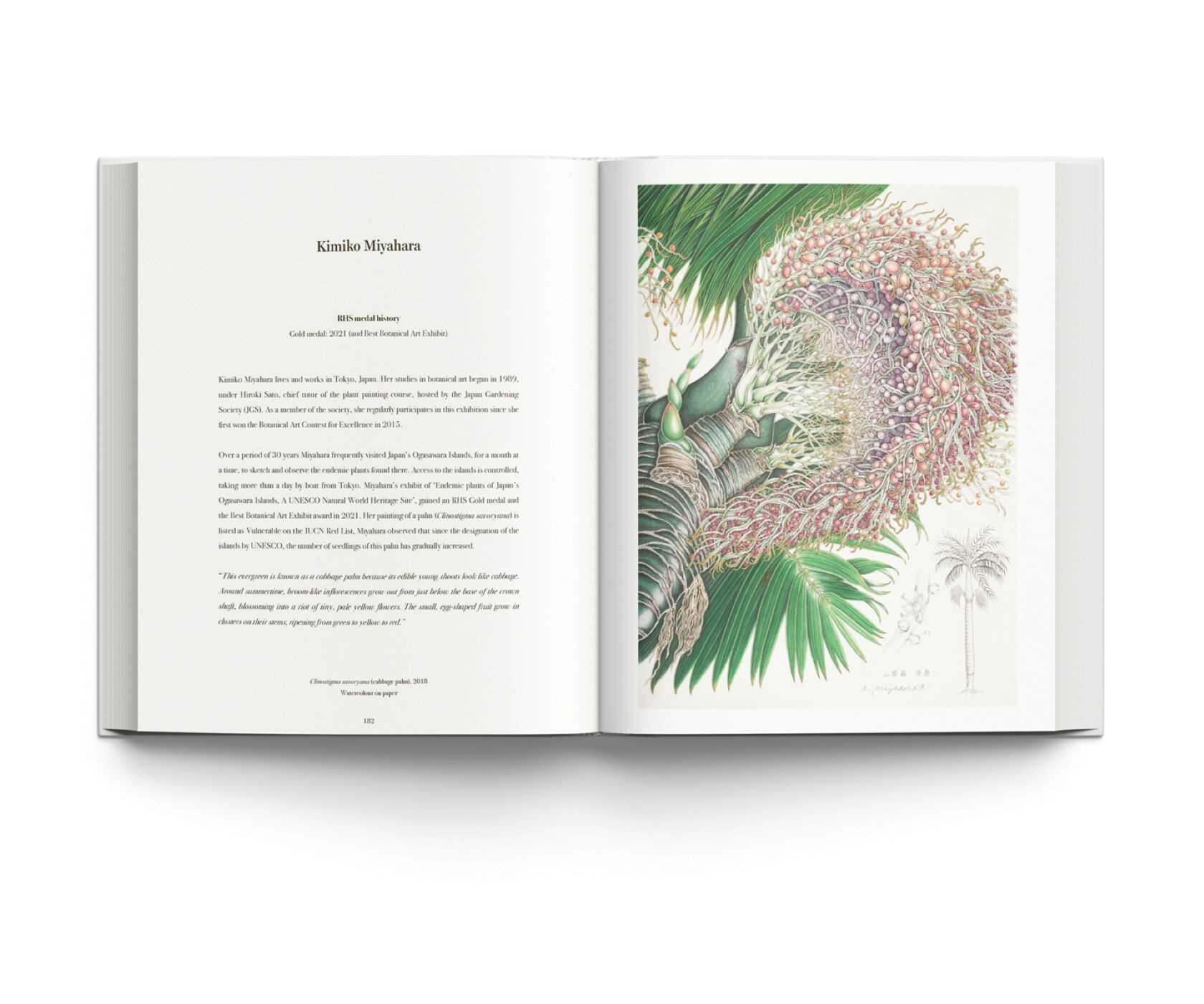 RHS Botanical Illustration