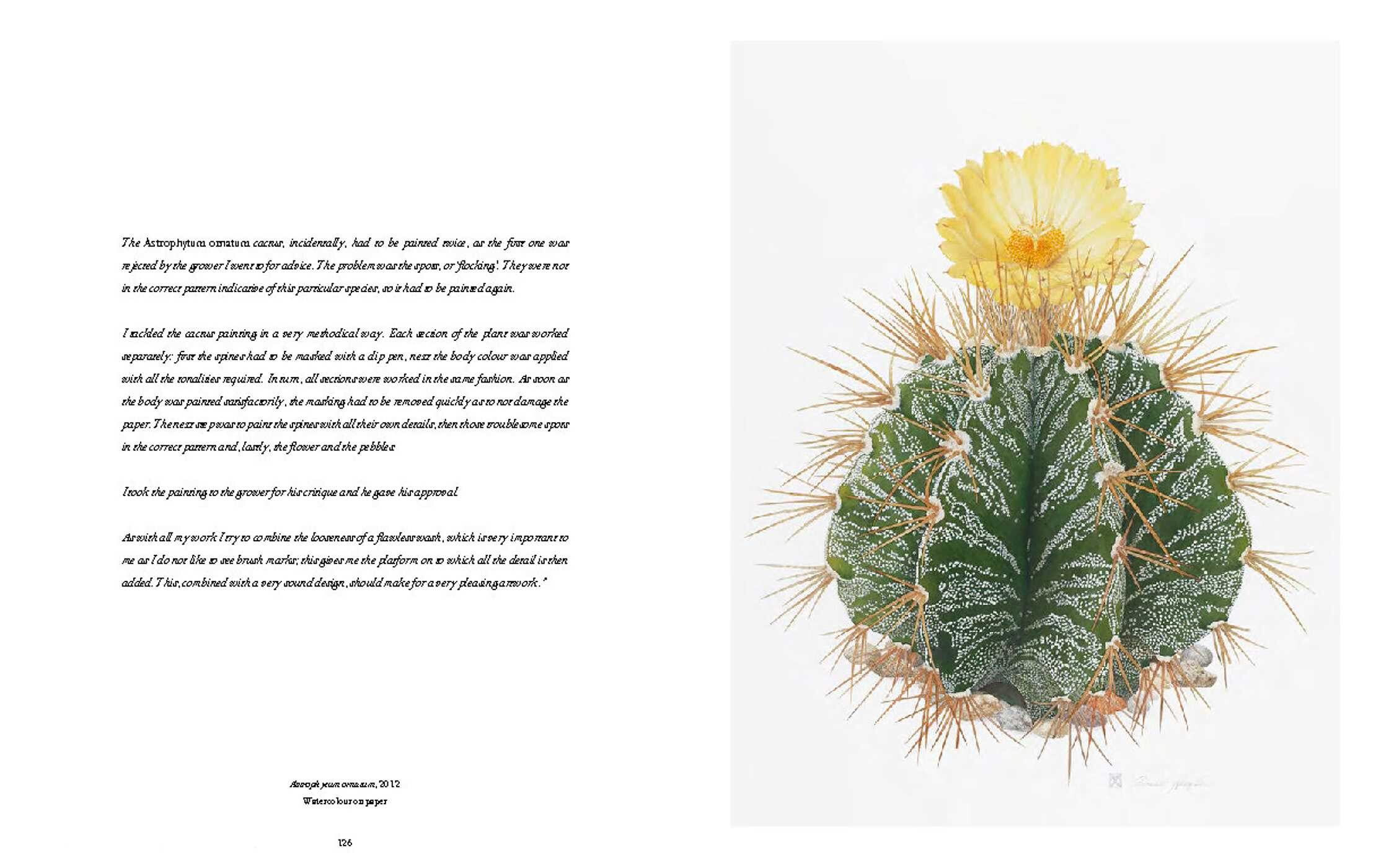RHS Botanical Illustration