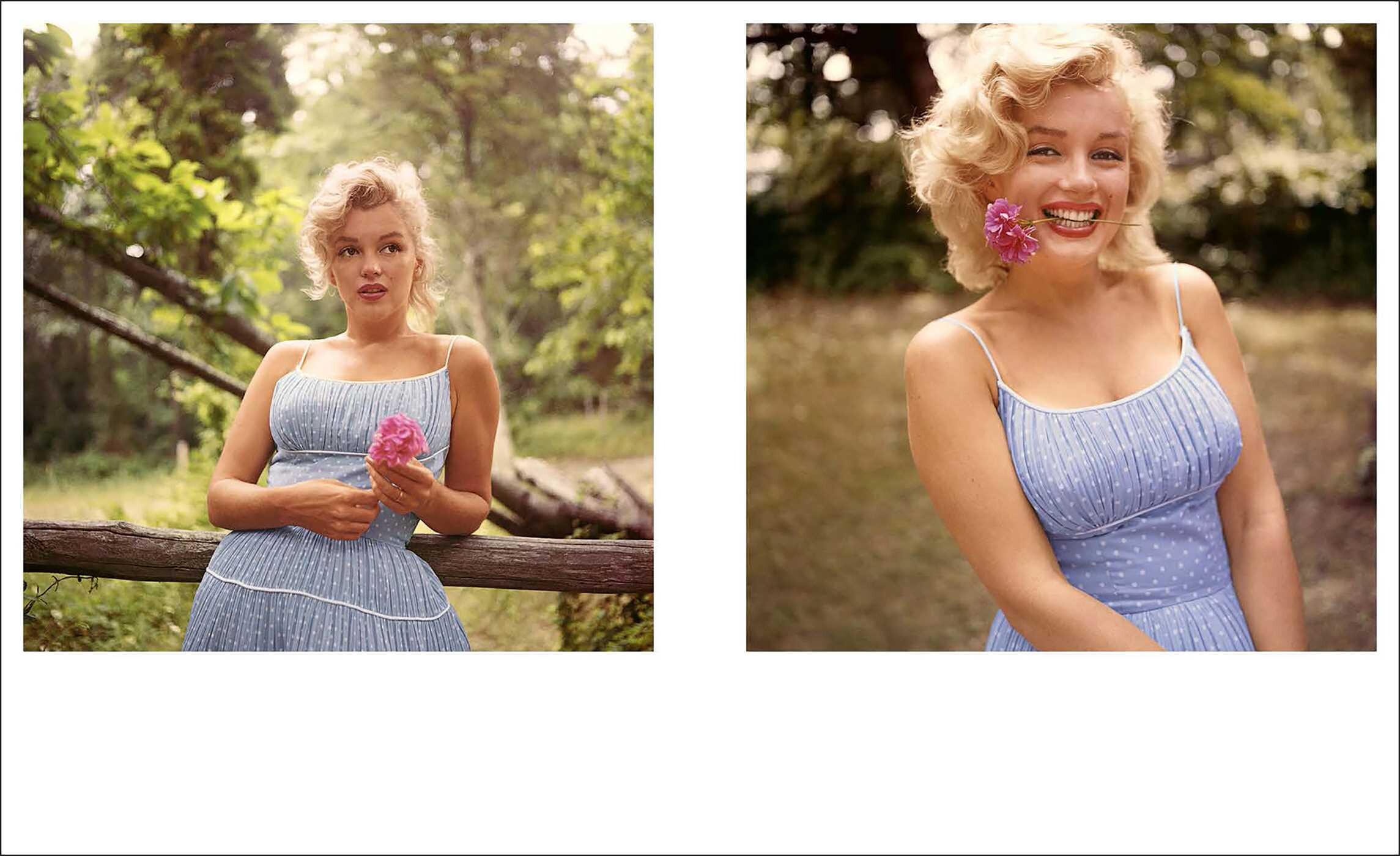 Marilyn Monroe 100