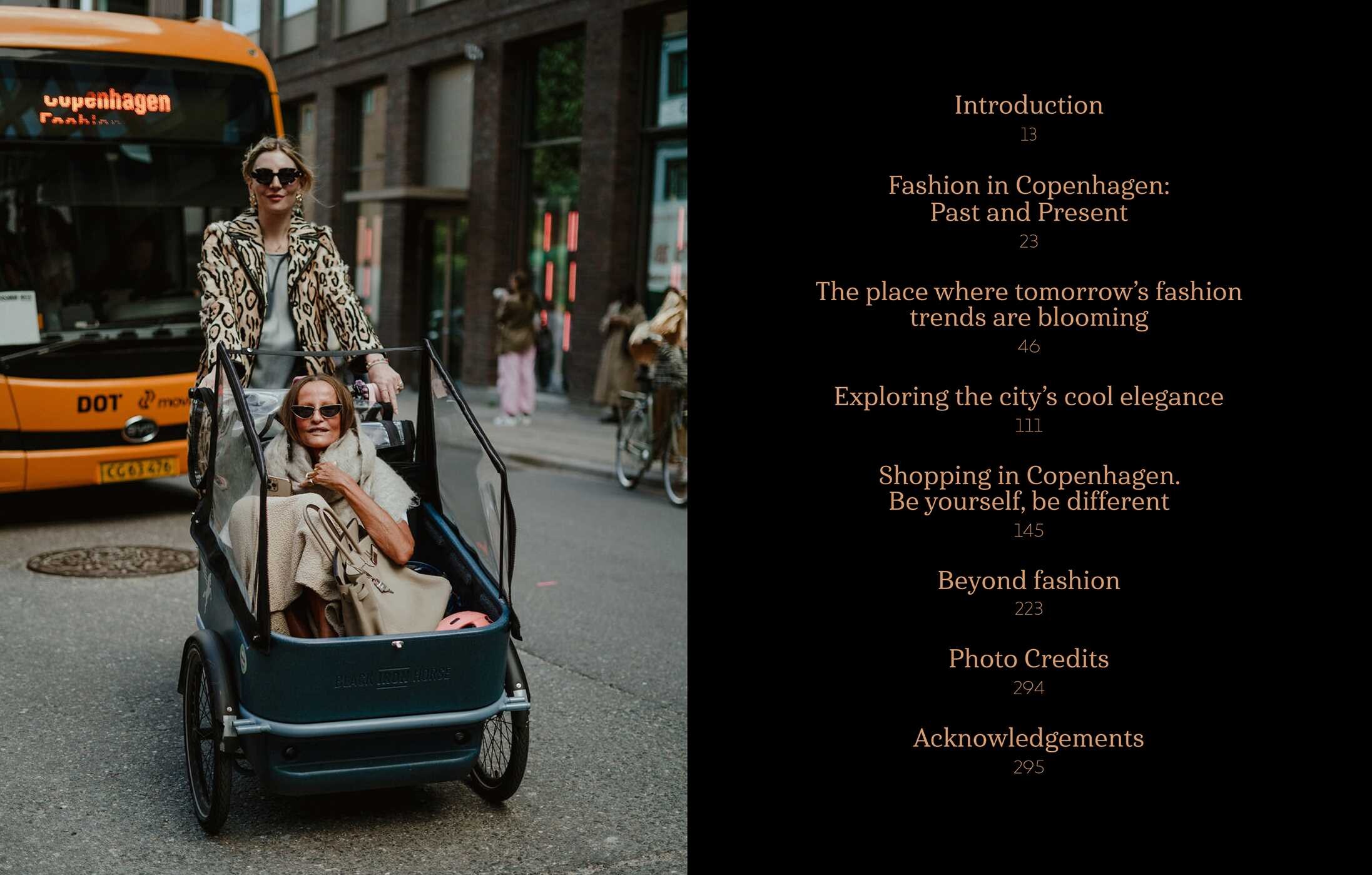 Copenhagen. In Fashion