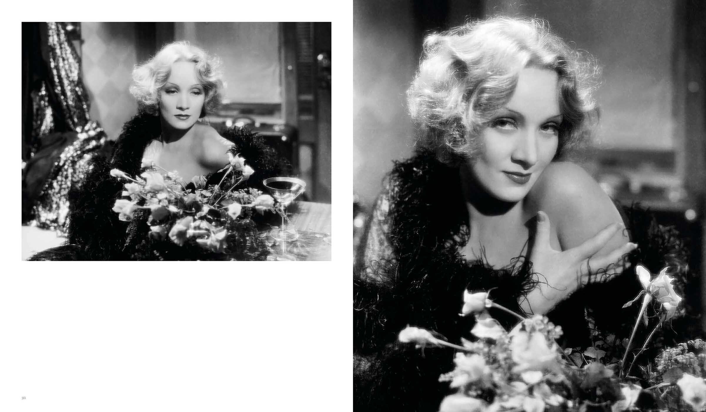 Dietrich Through the Lens