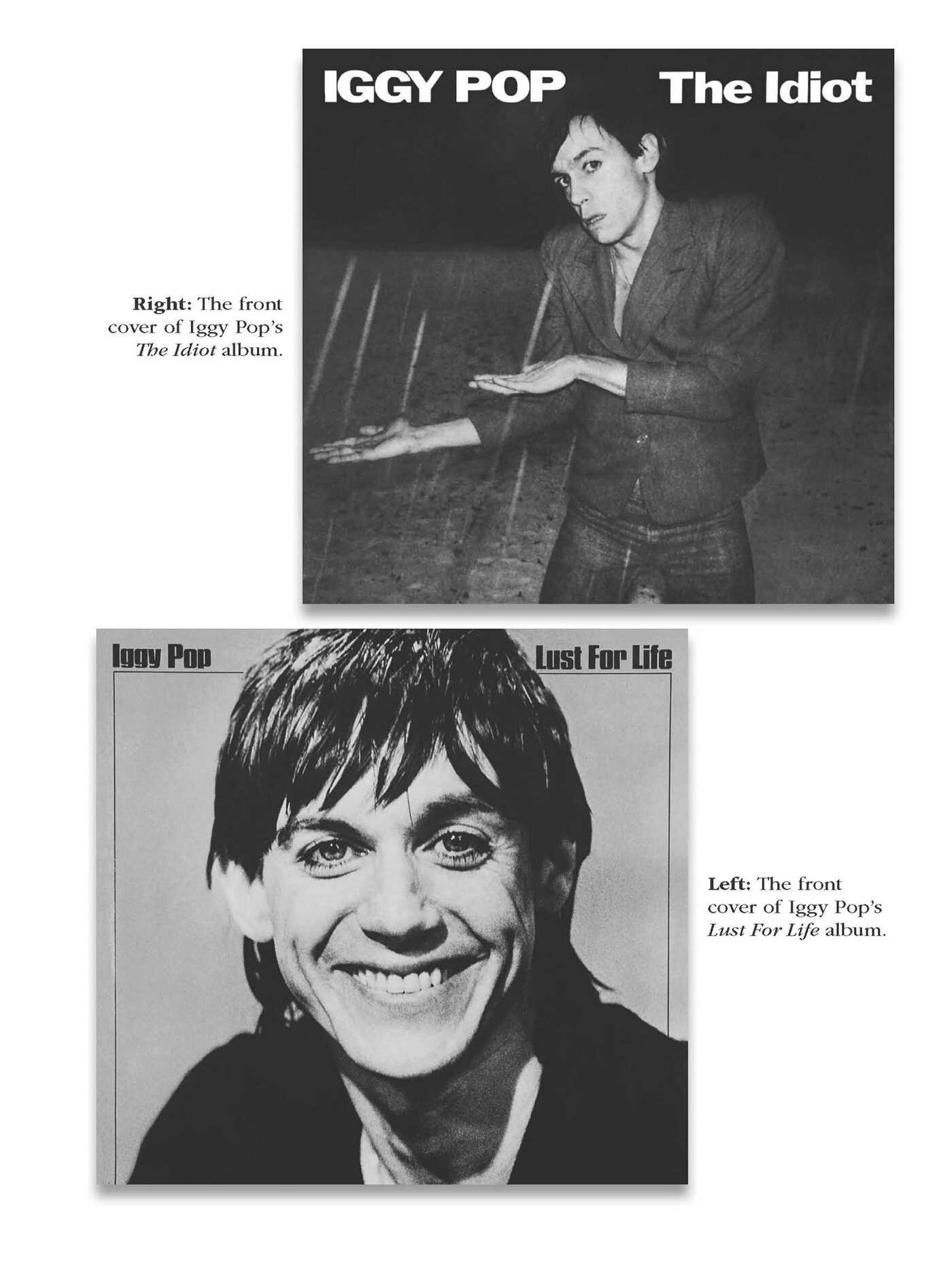 Iggy Pop 1977-1999