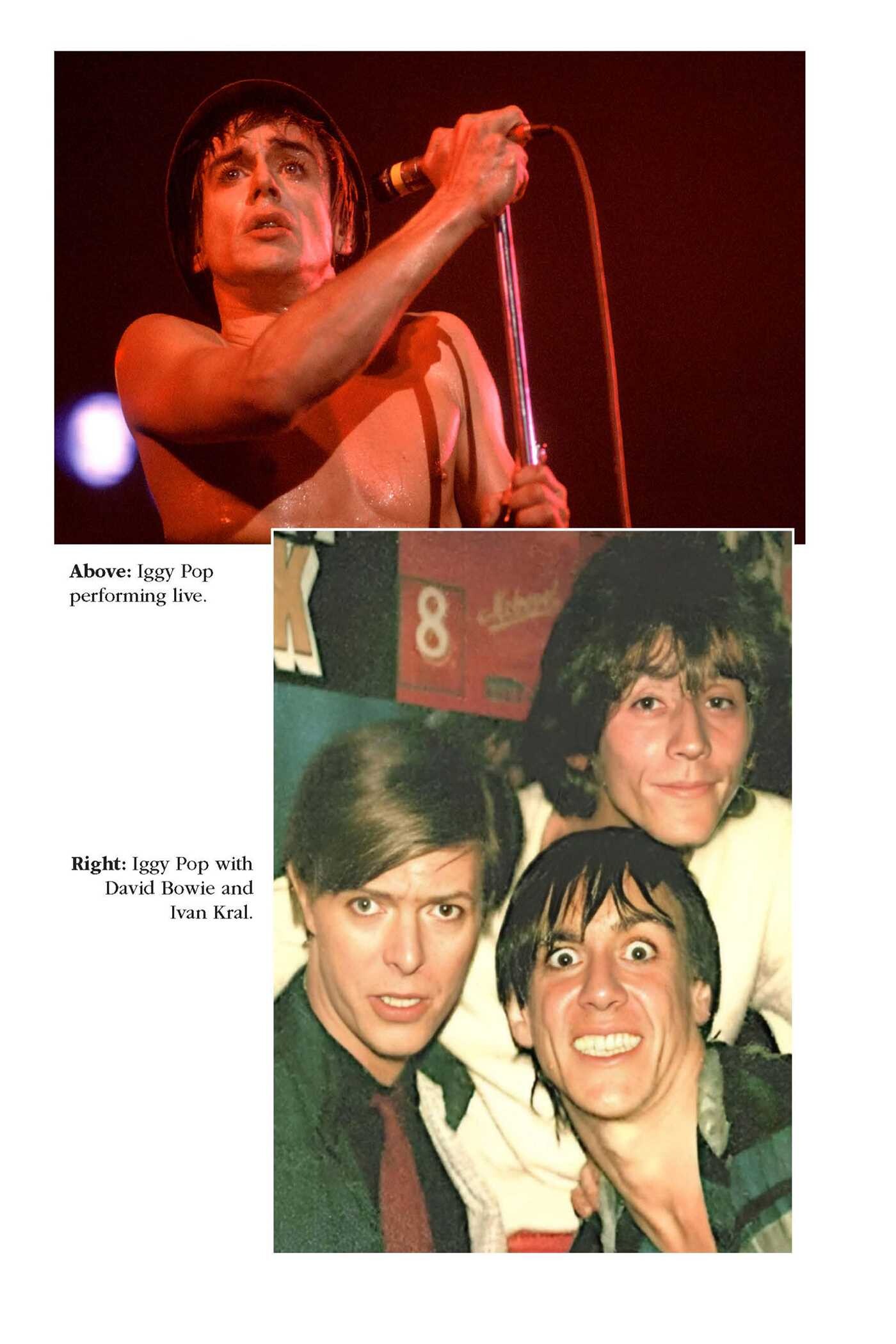 Iggy Pop 1977-1999