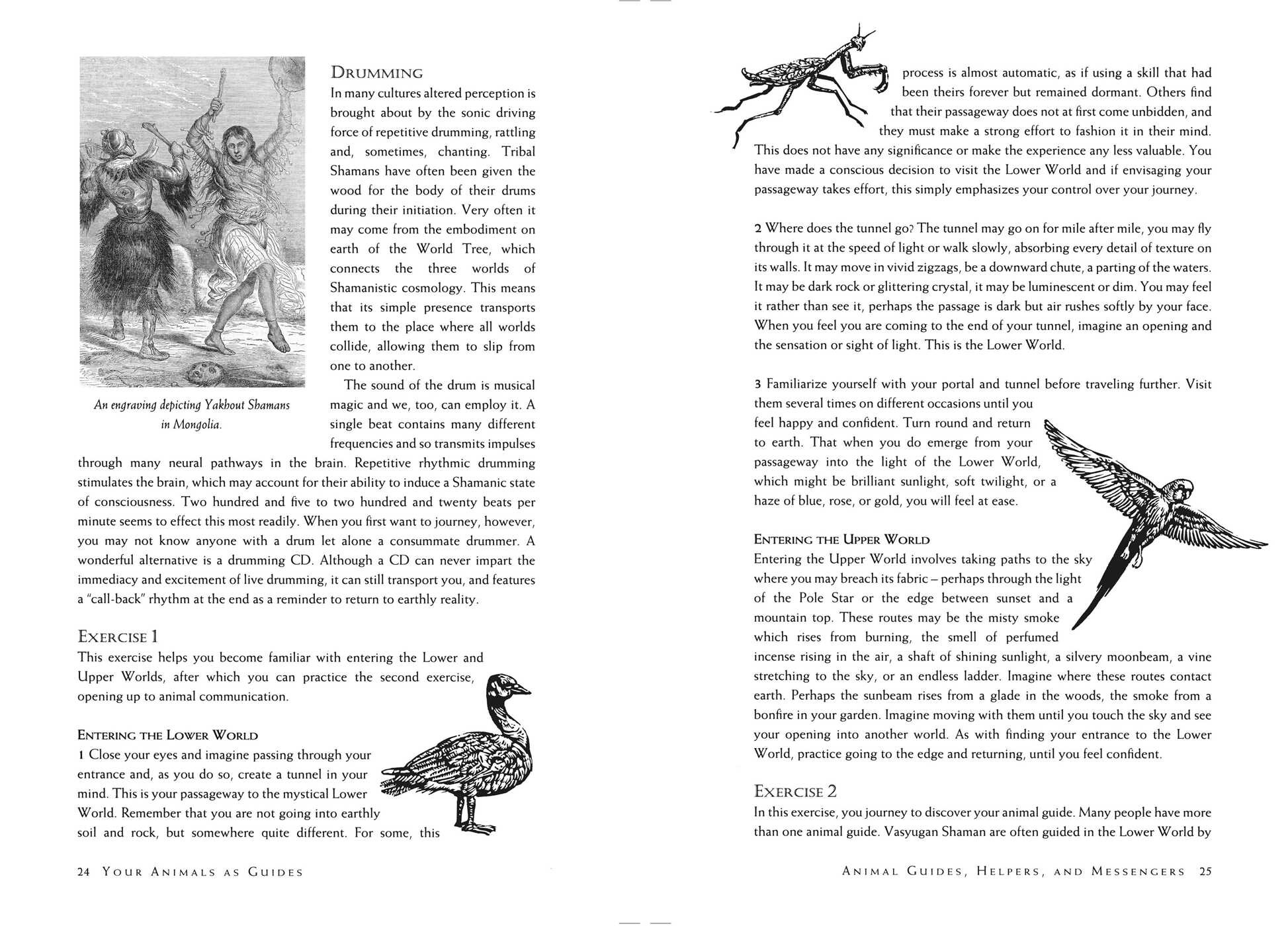 Teachings from Our Animal Spirit Guides Book by Susie Green