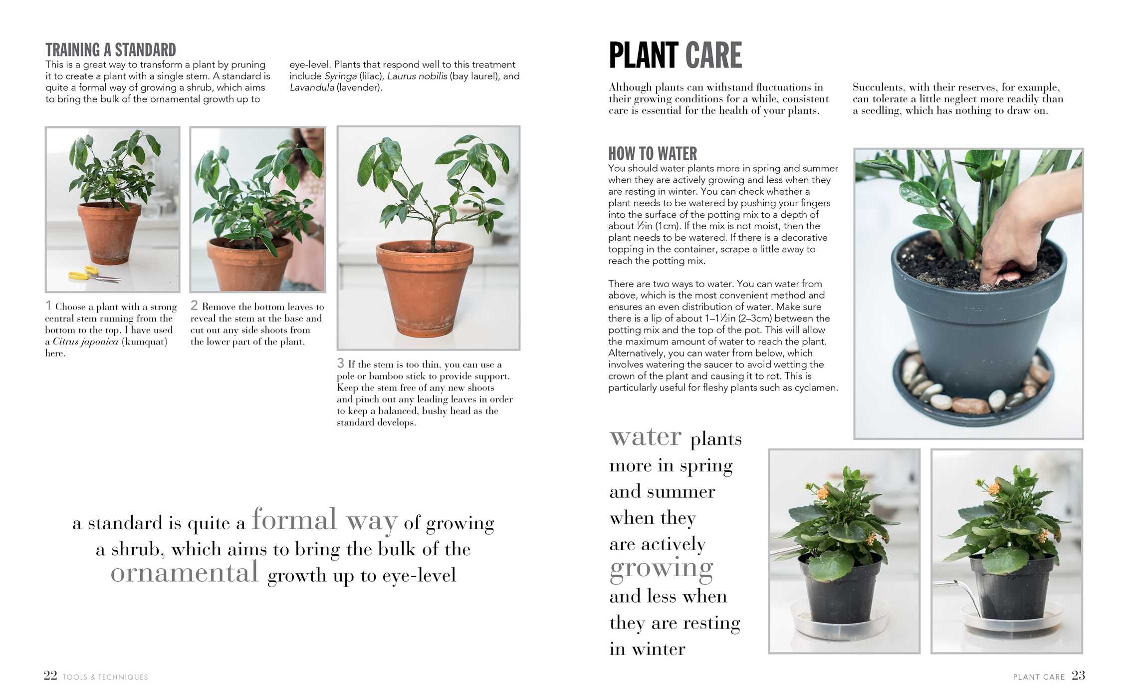 Joy of Living with Plants