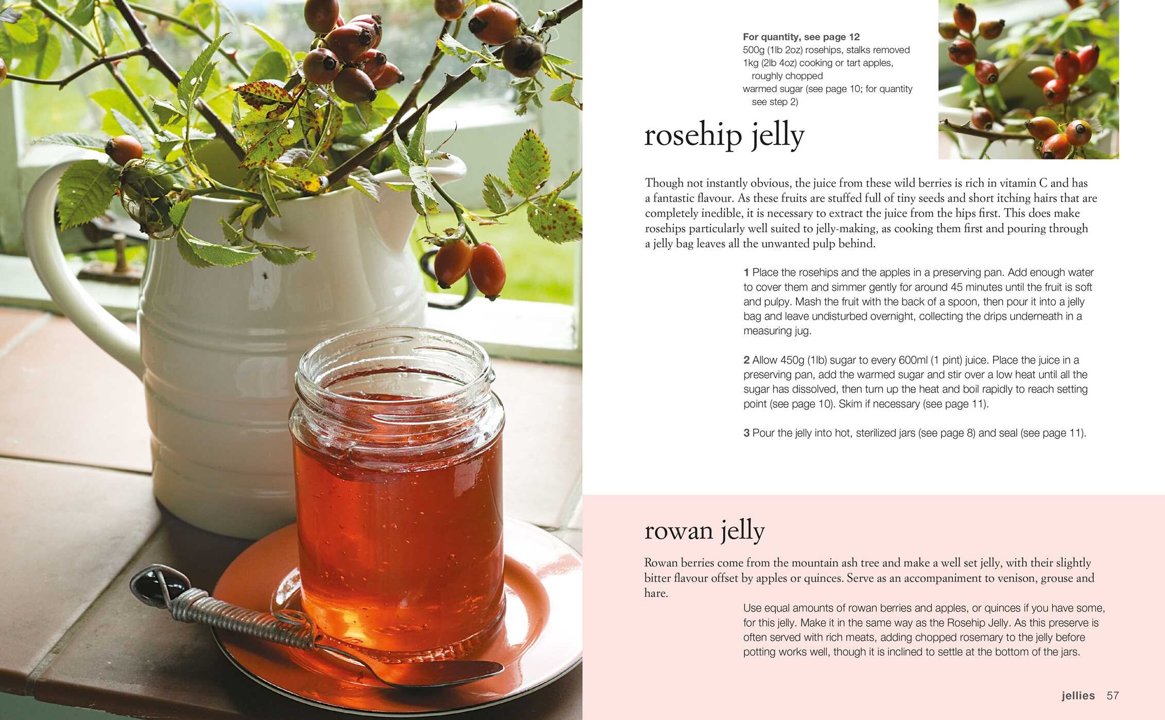 Preserves & Pickles Book by Gloria Nicol Official Publisher Page