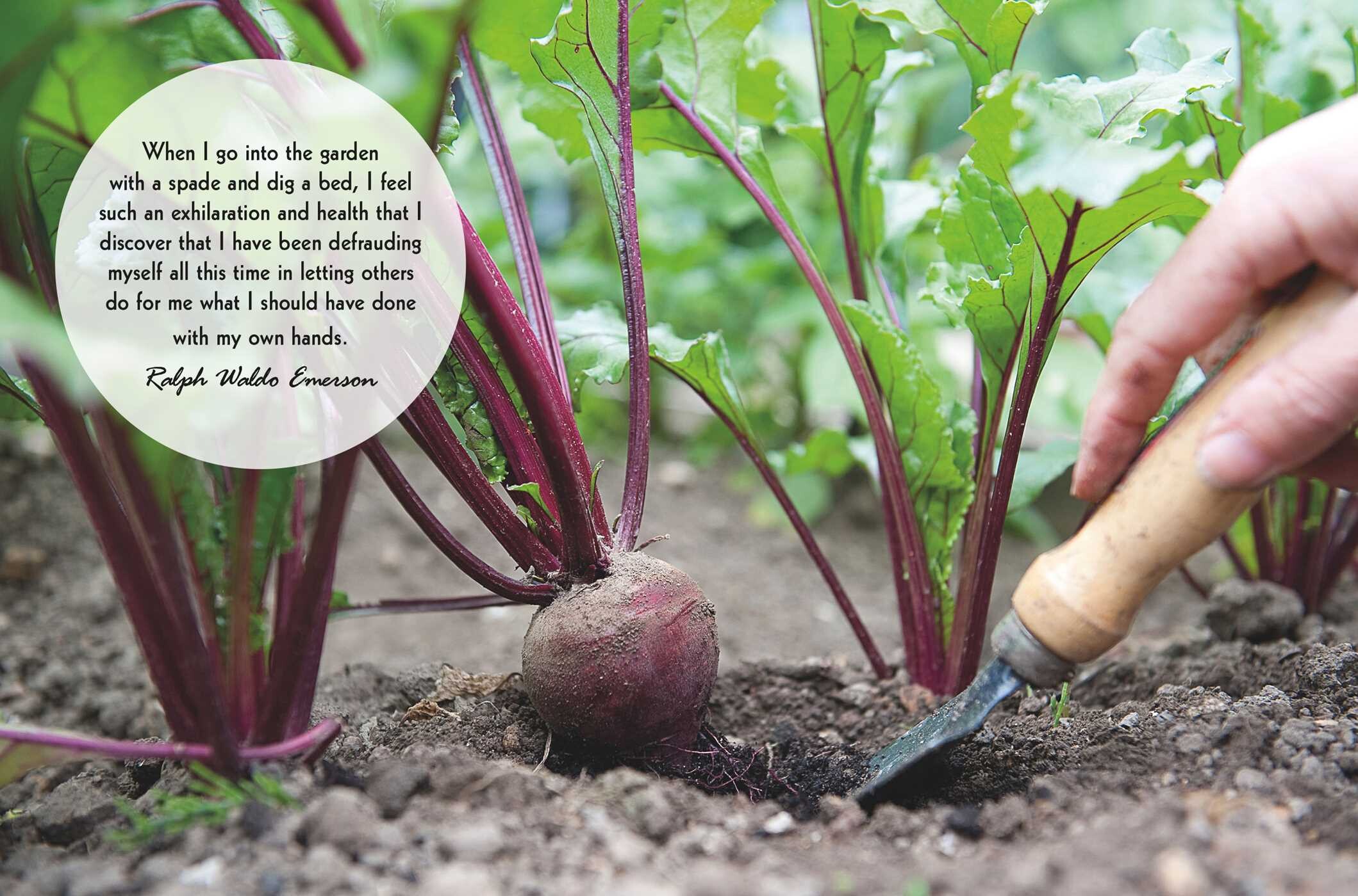 Mindful Gardening