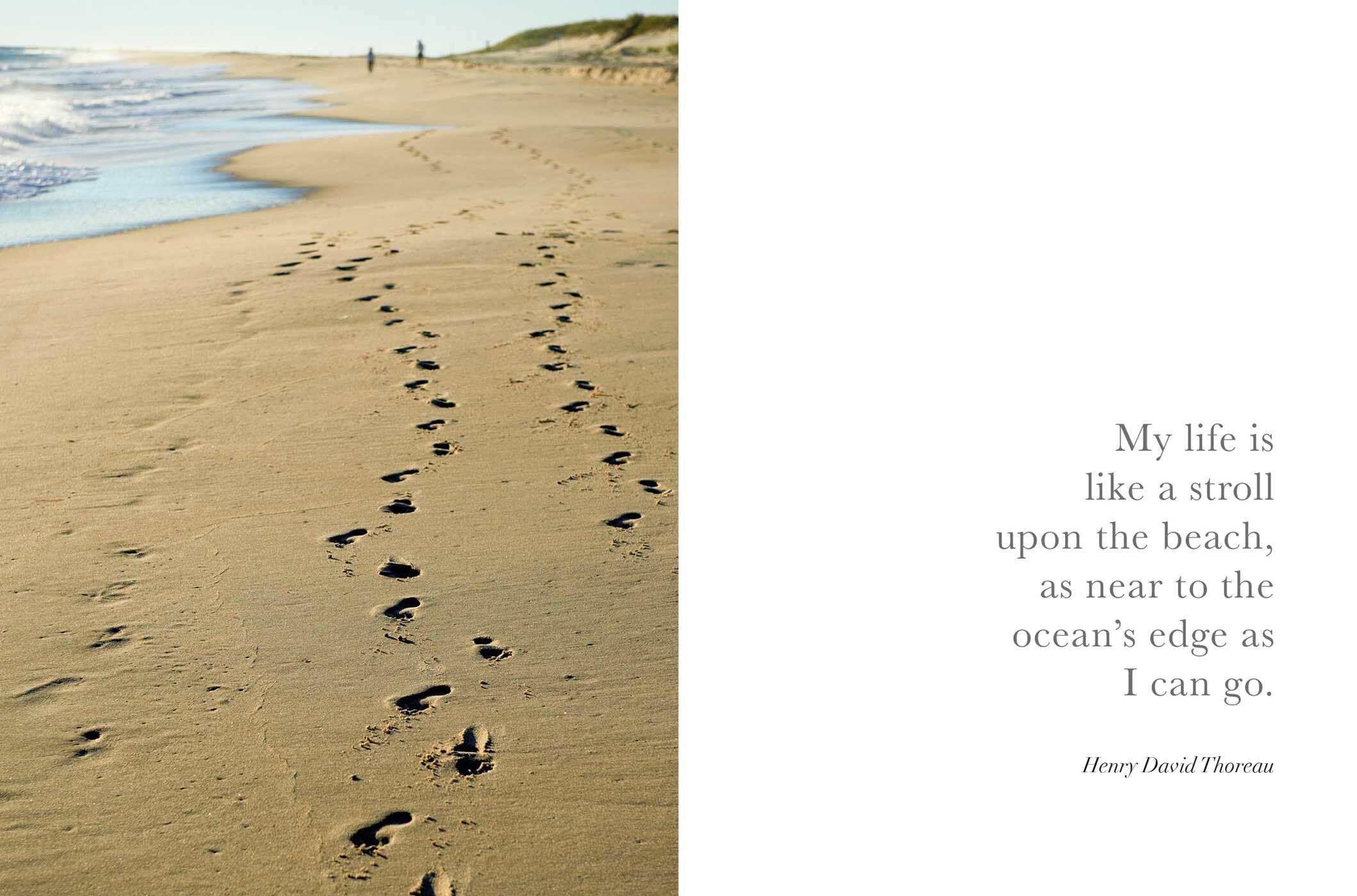 Seaside Inspirations