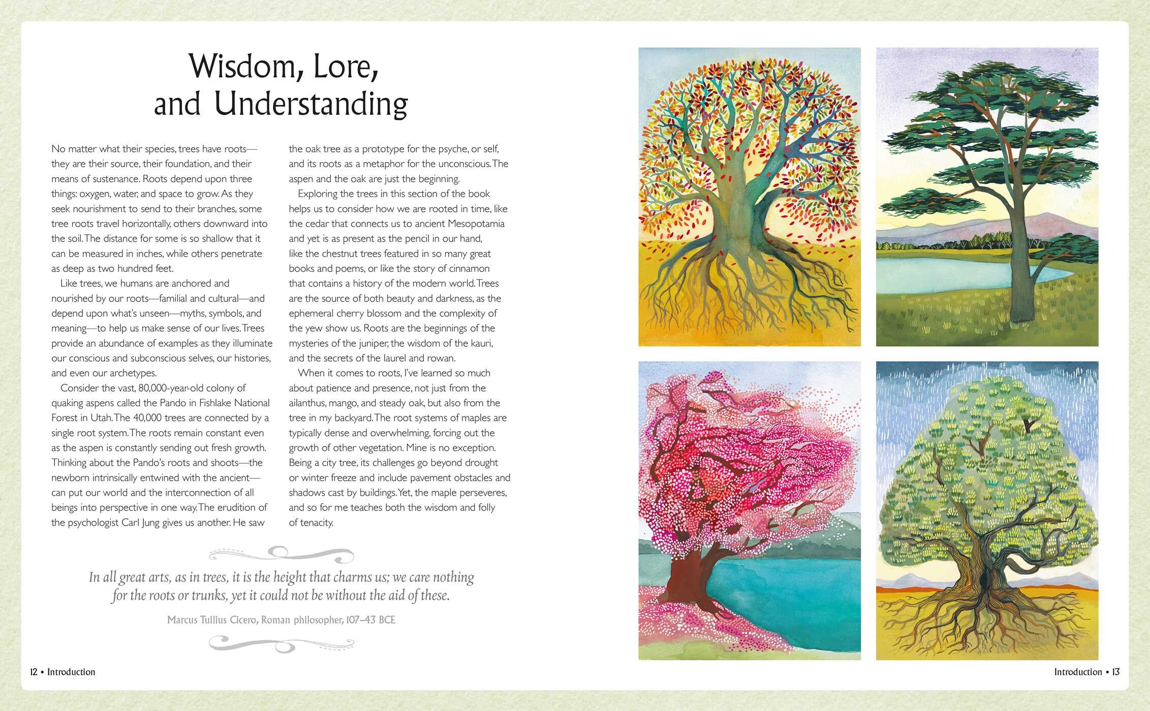 Tree Wisdom Book by Alice Peck Official Publisher Page Simon & Schuster