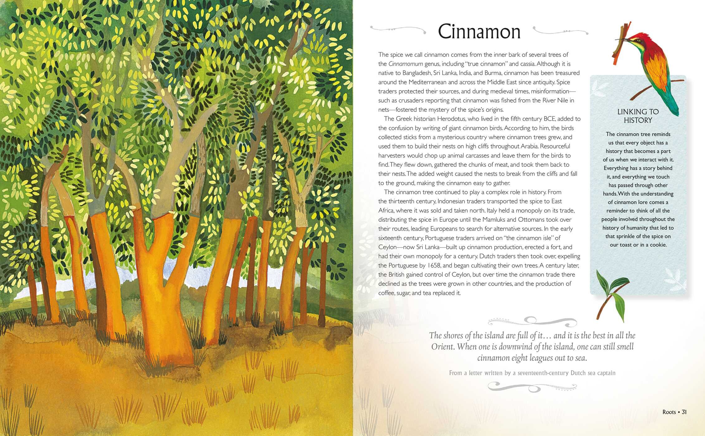 Tree Wisdom Book by Alice Peck Official Publisher Page Simon & Schuster