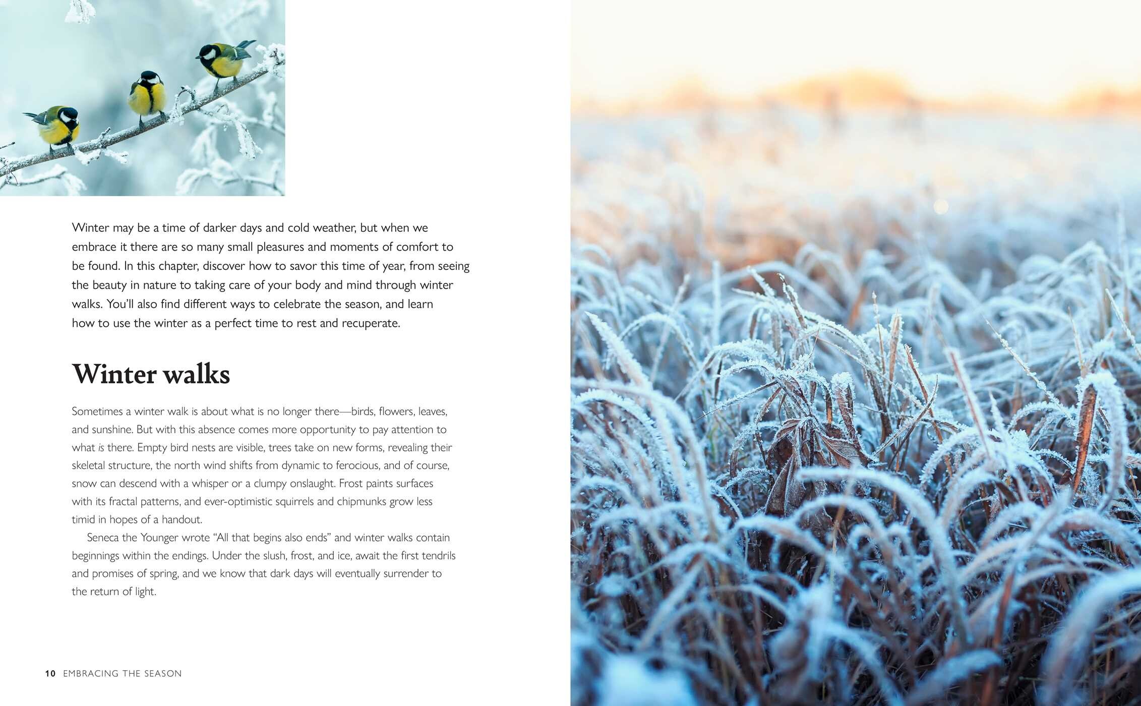 Winter Wellbeing