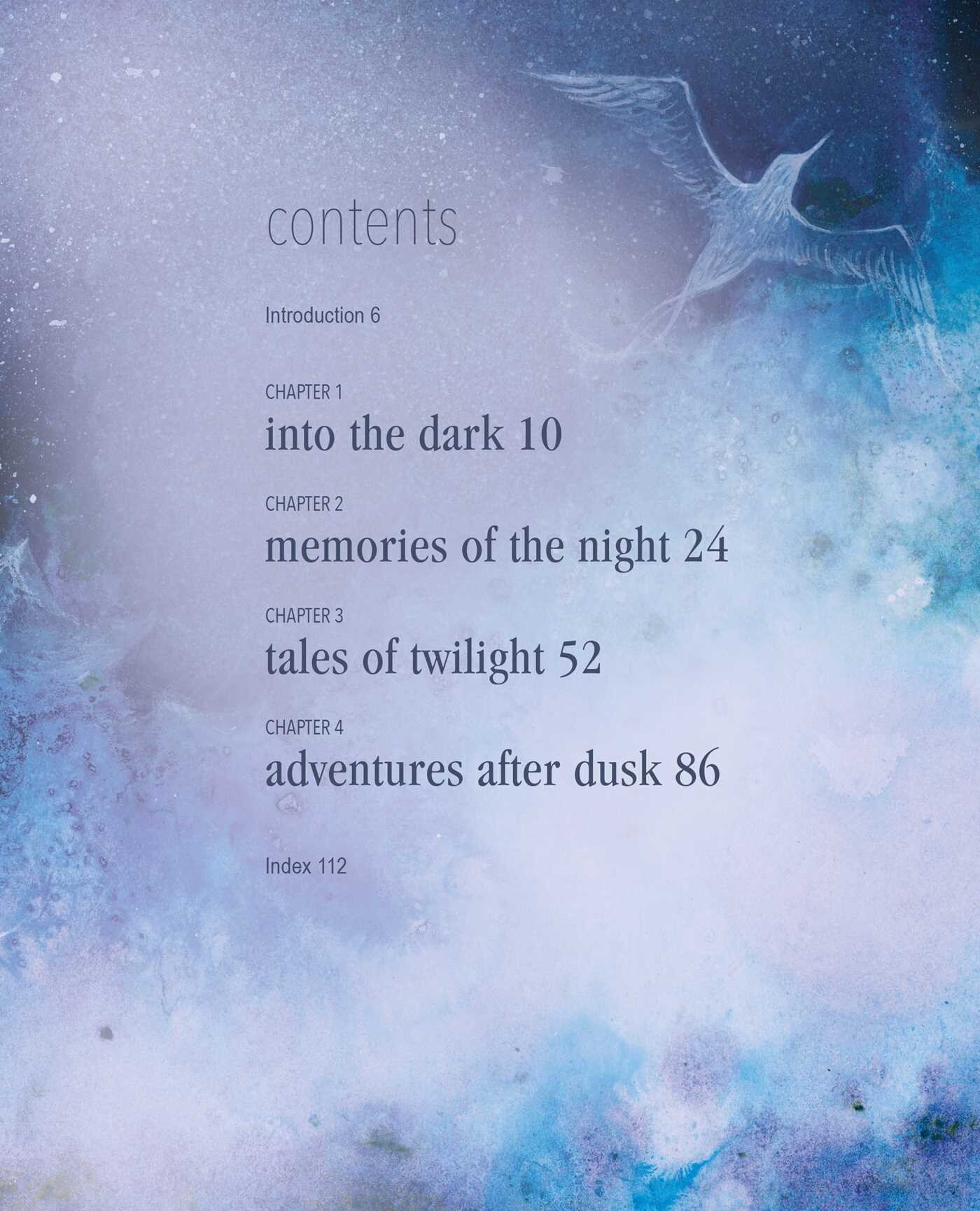 Magic of the Night Sky