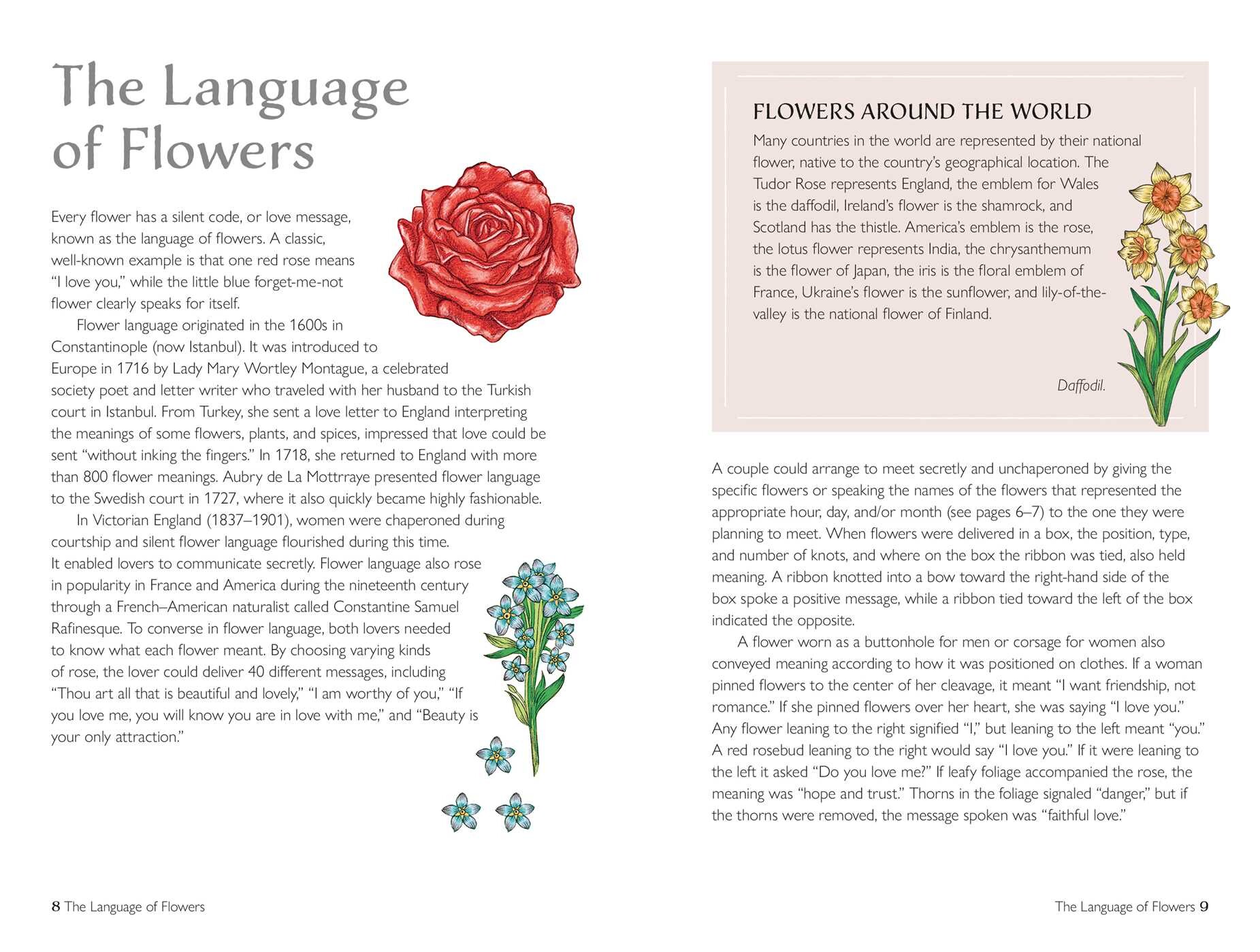 Spirit of Flowers