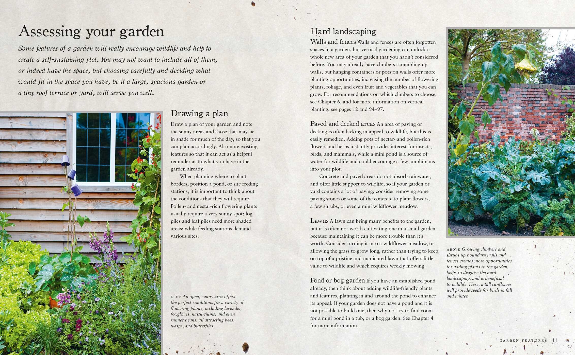 Urban Wildlife Gardening
