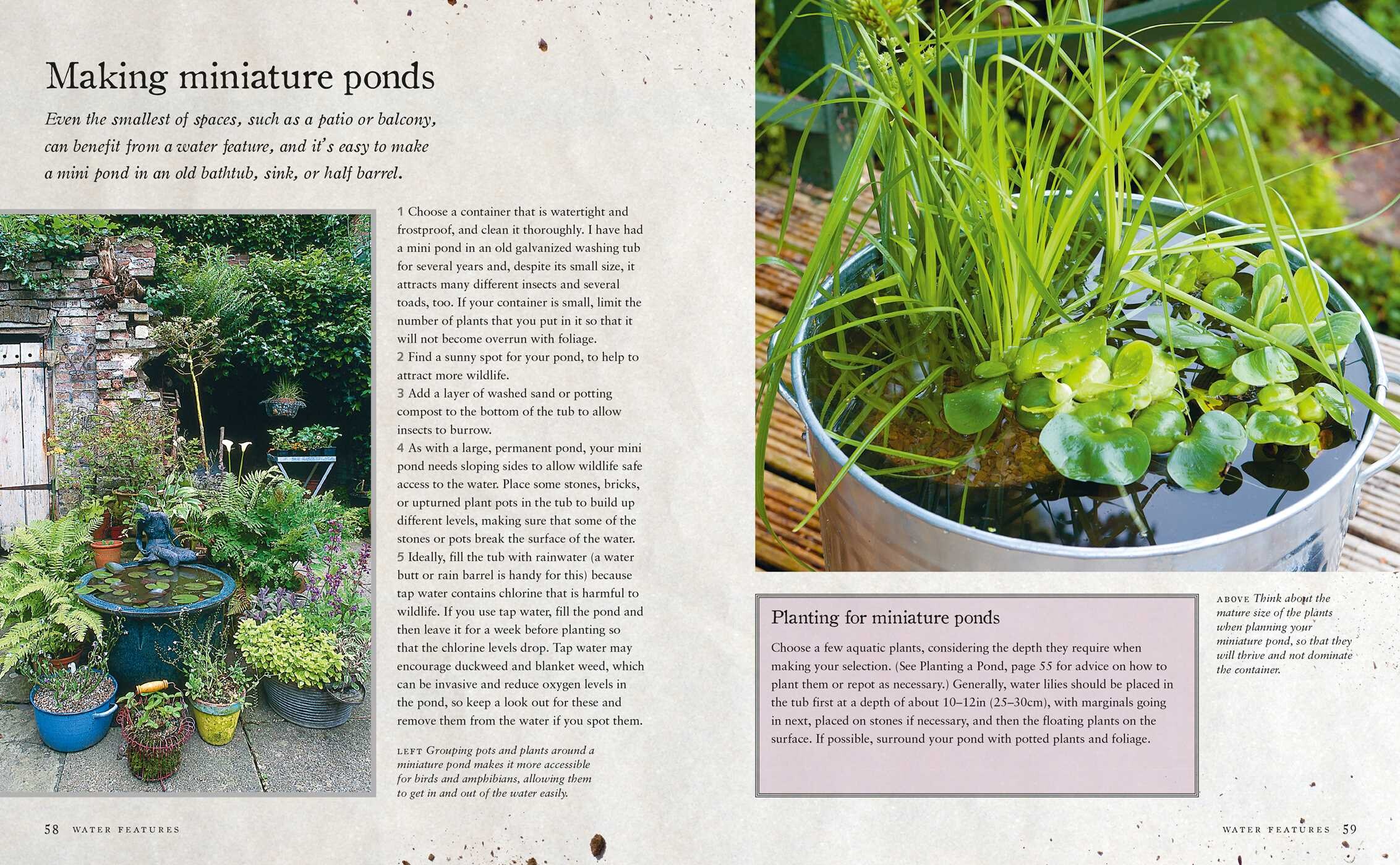 Urban Wildlife Gardening