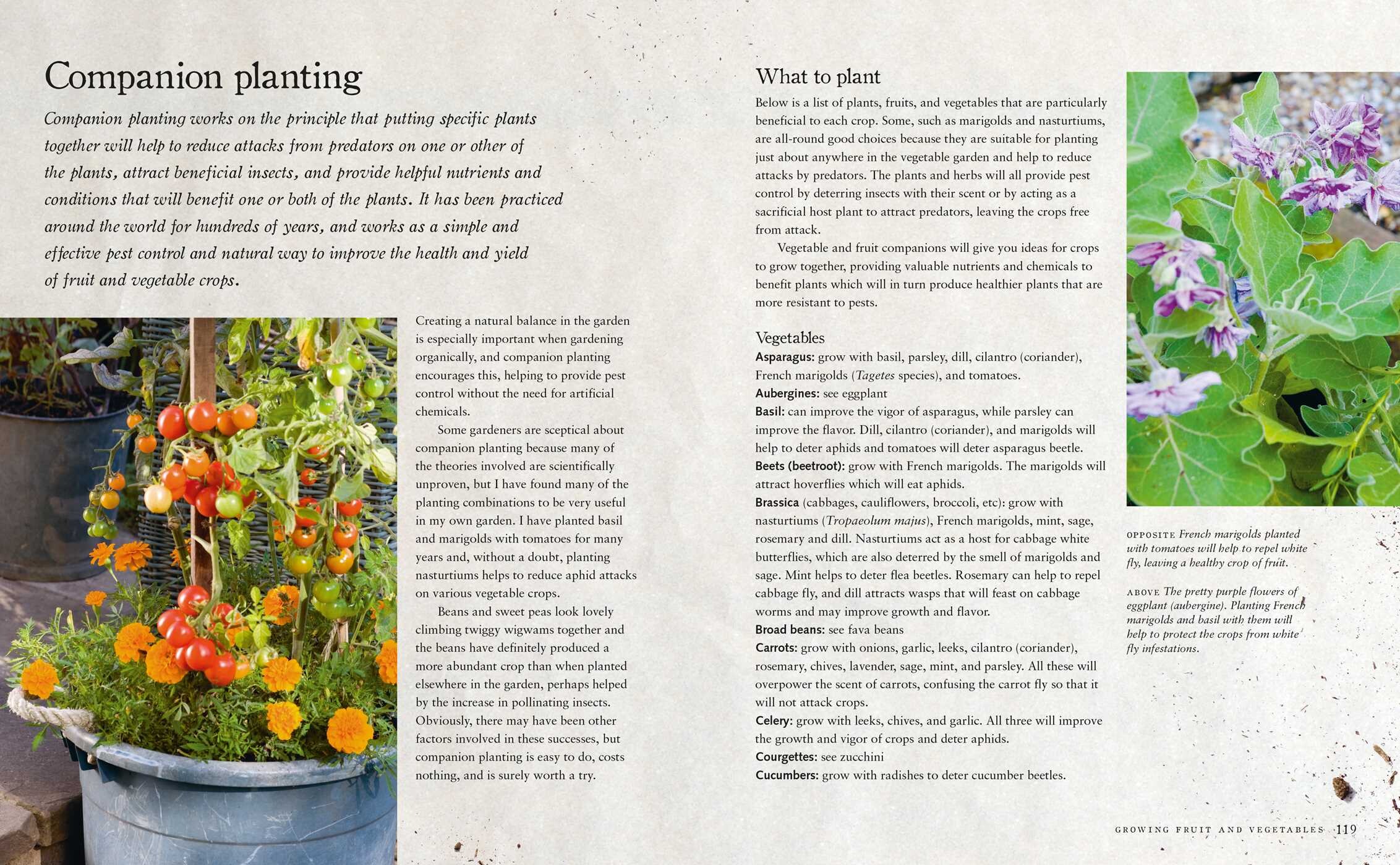 Urban Wildlife Gardening