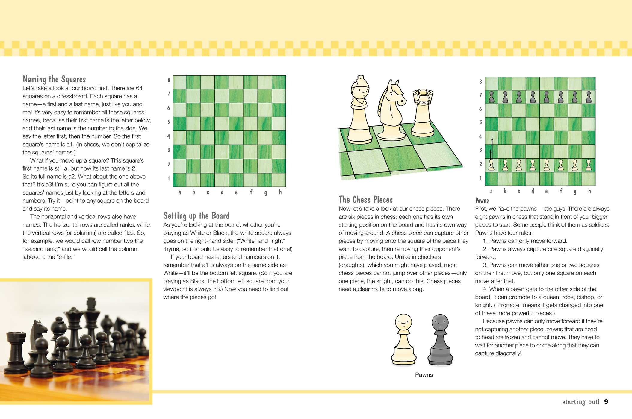 Chess Basics for Kids