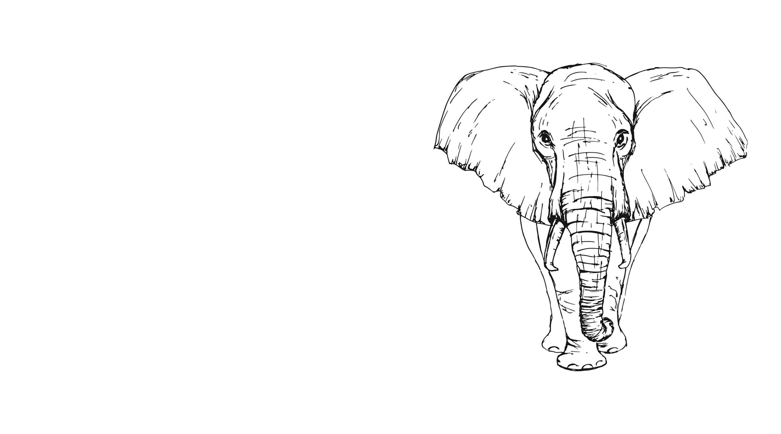 Animals: Watercolor Paint Set