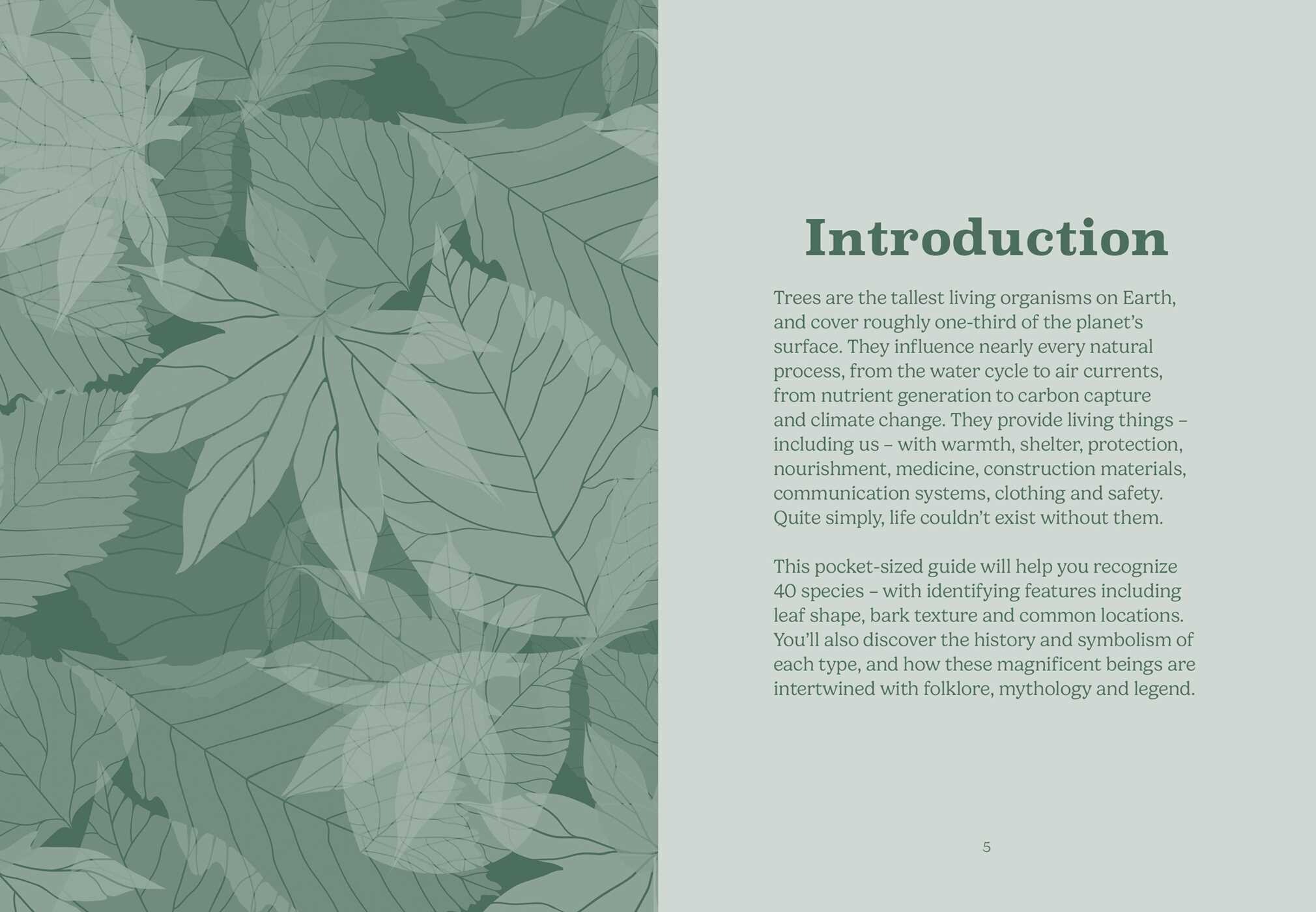 Pocket Trees