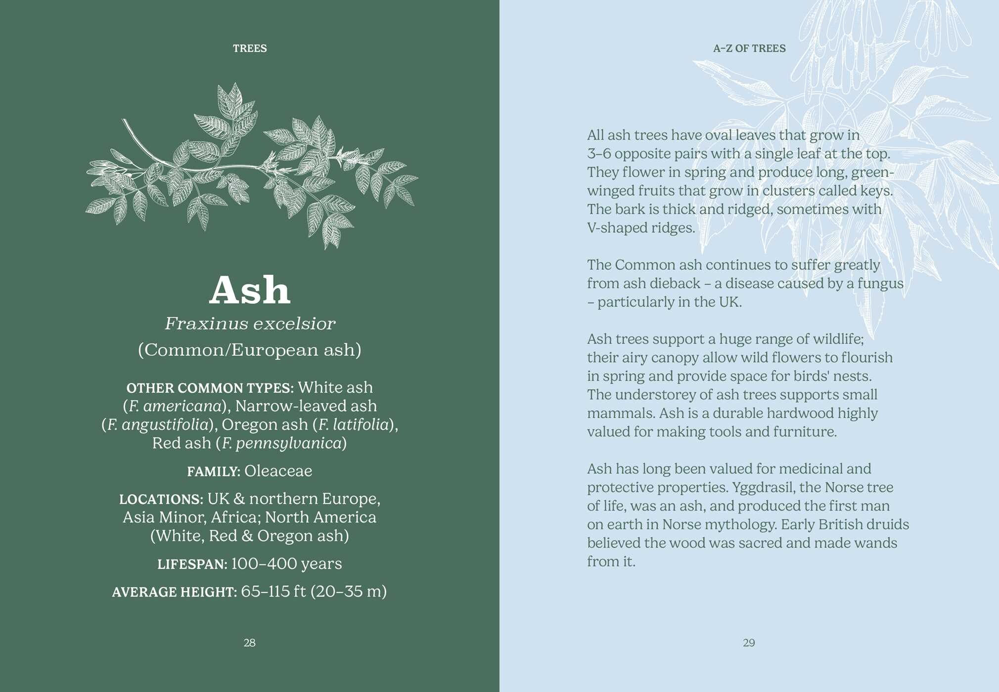 Pocket Trees